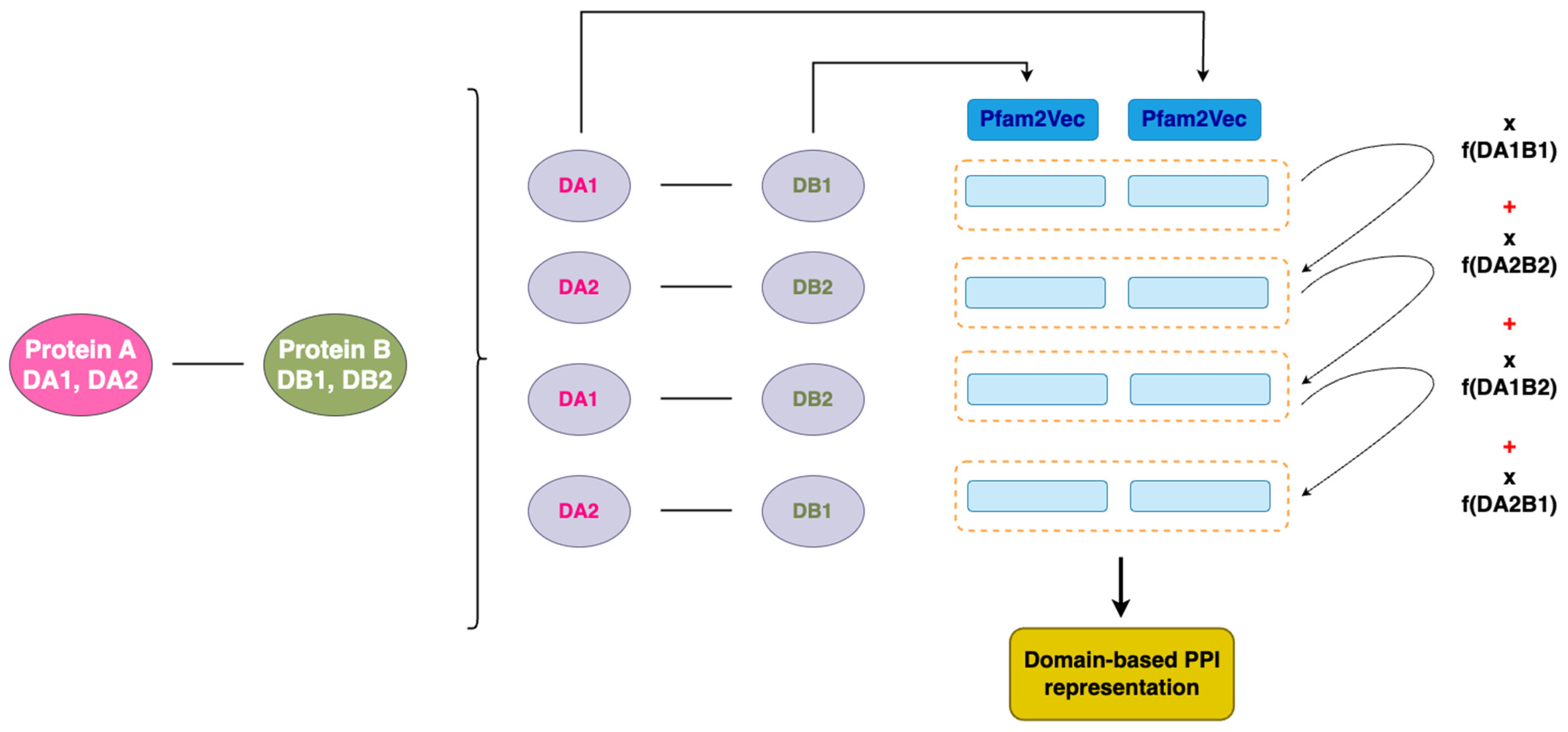 Biotech 14 00013 g001