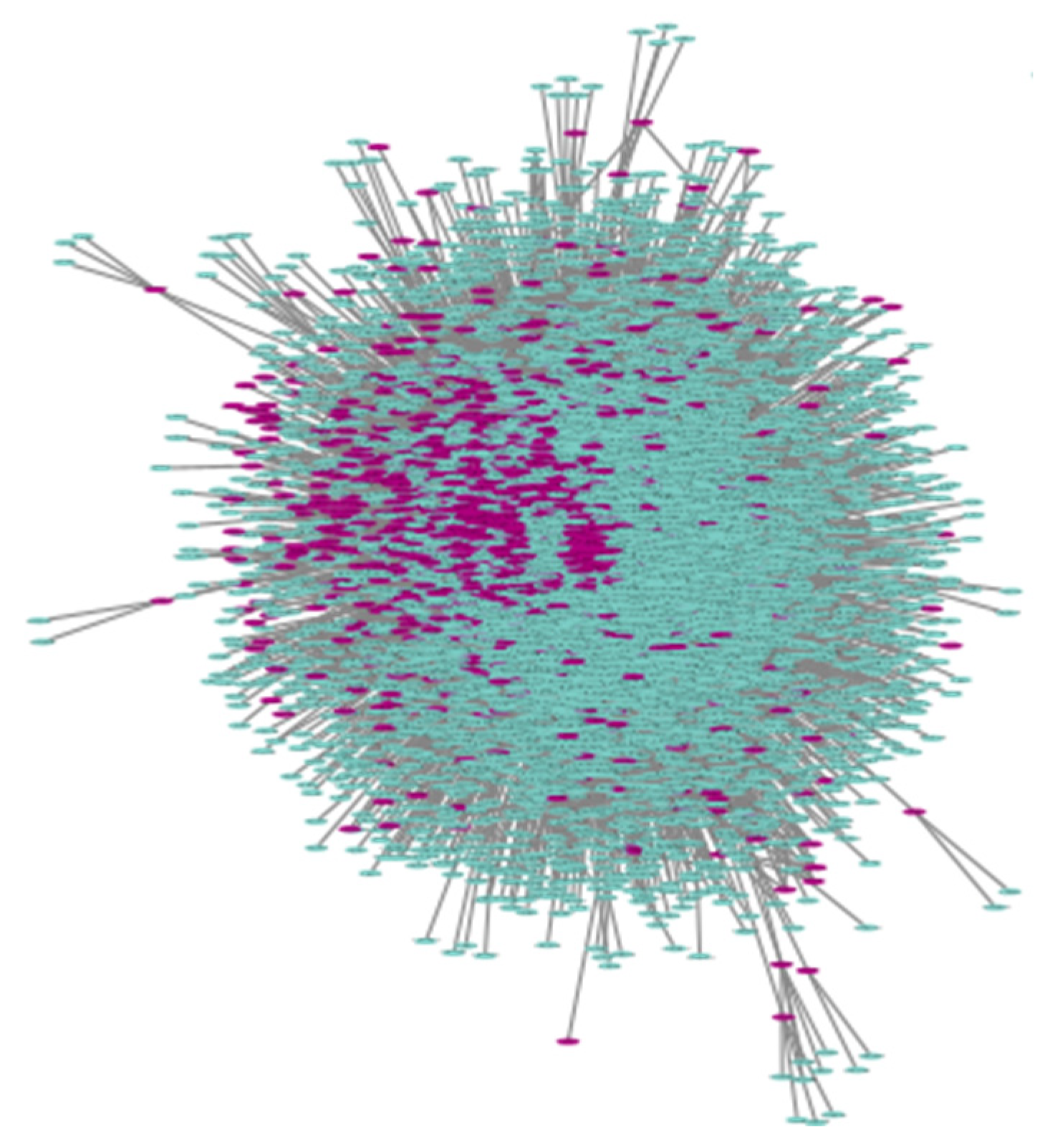 Biotech 14 00013 g002