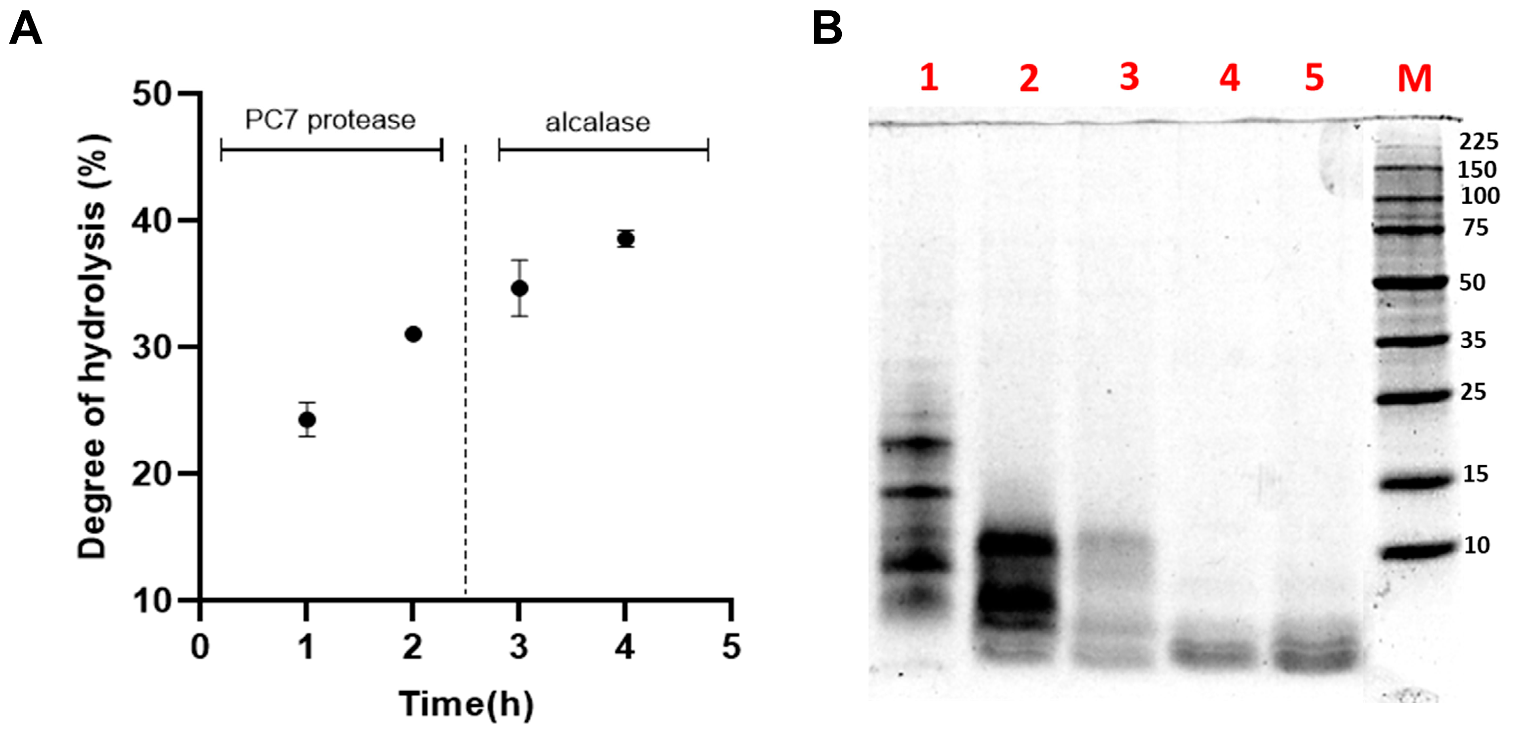 Biotech 14 00032 g005
