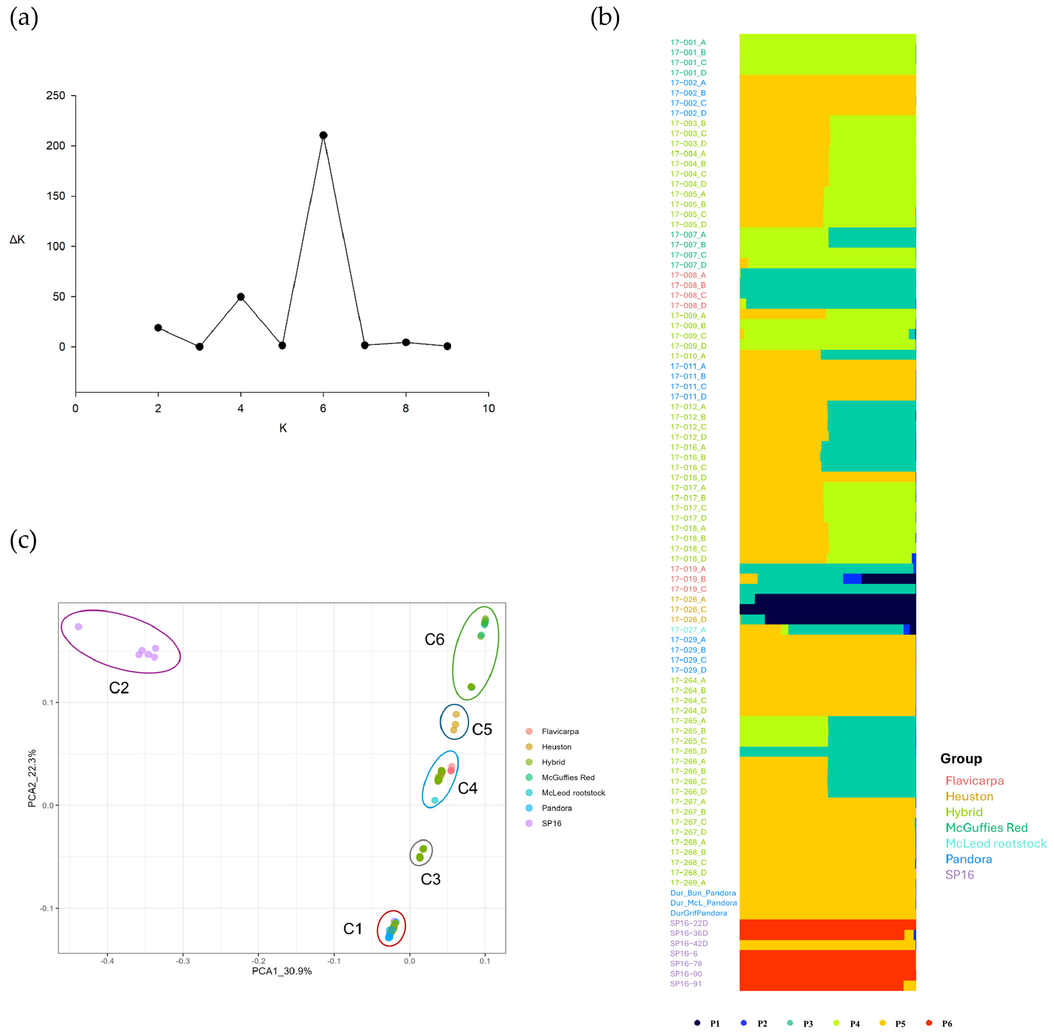 Biotech 14 00037 g002