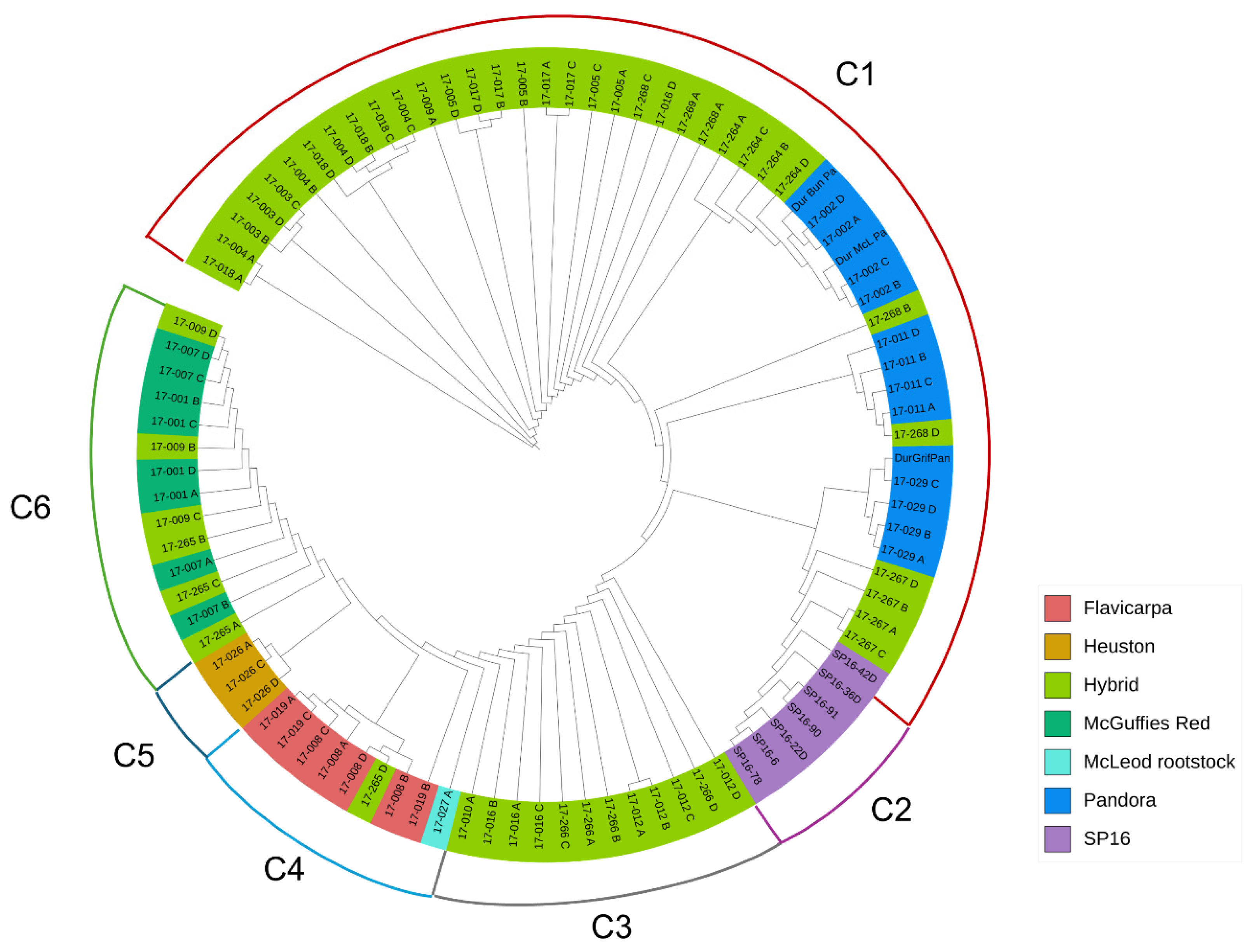 Biotech 14 00037 g004