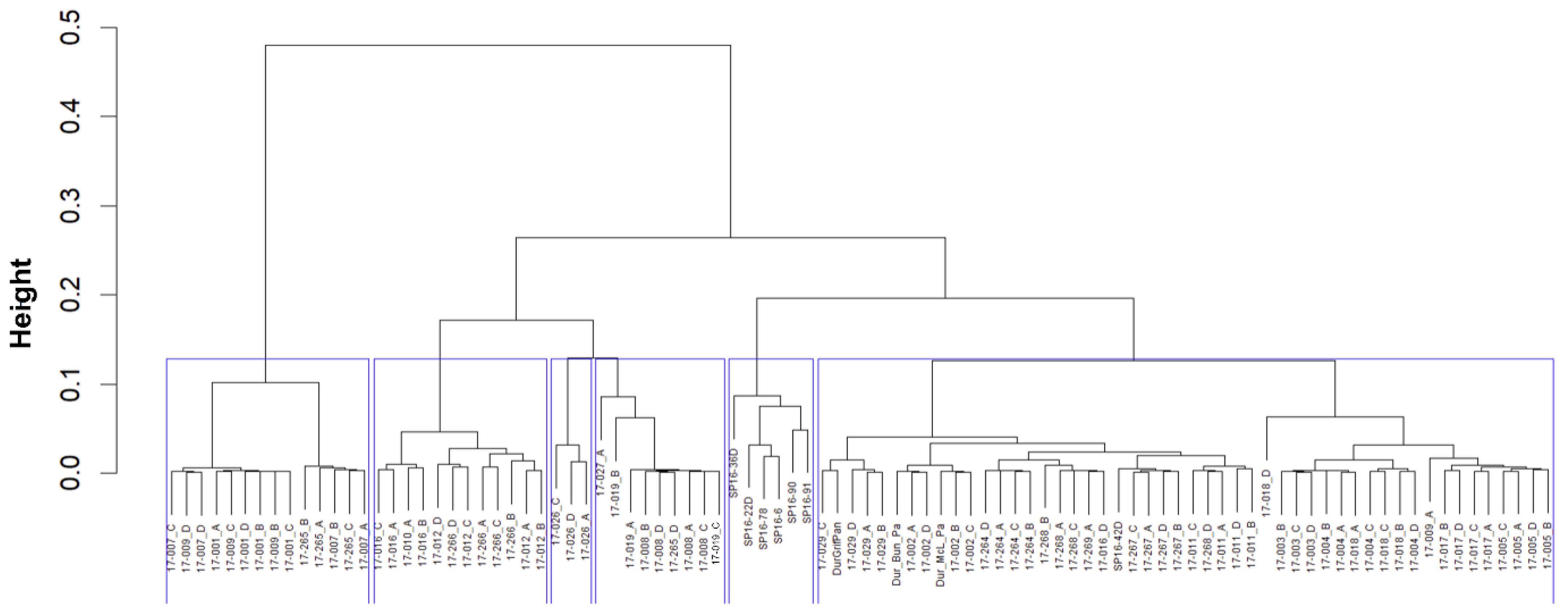 Biotech 14 00037 g005