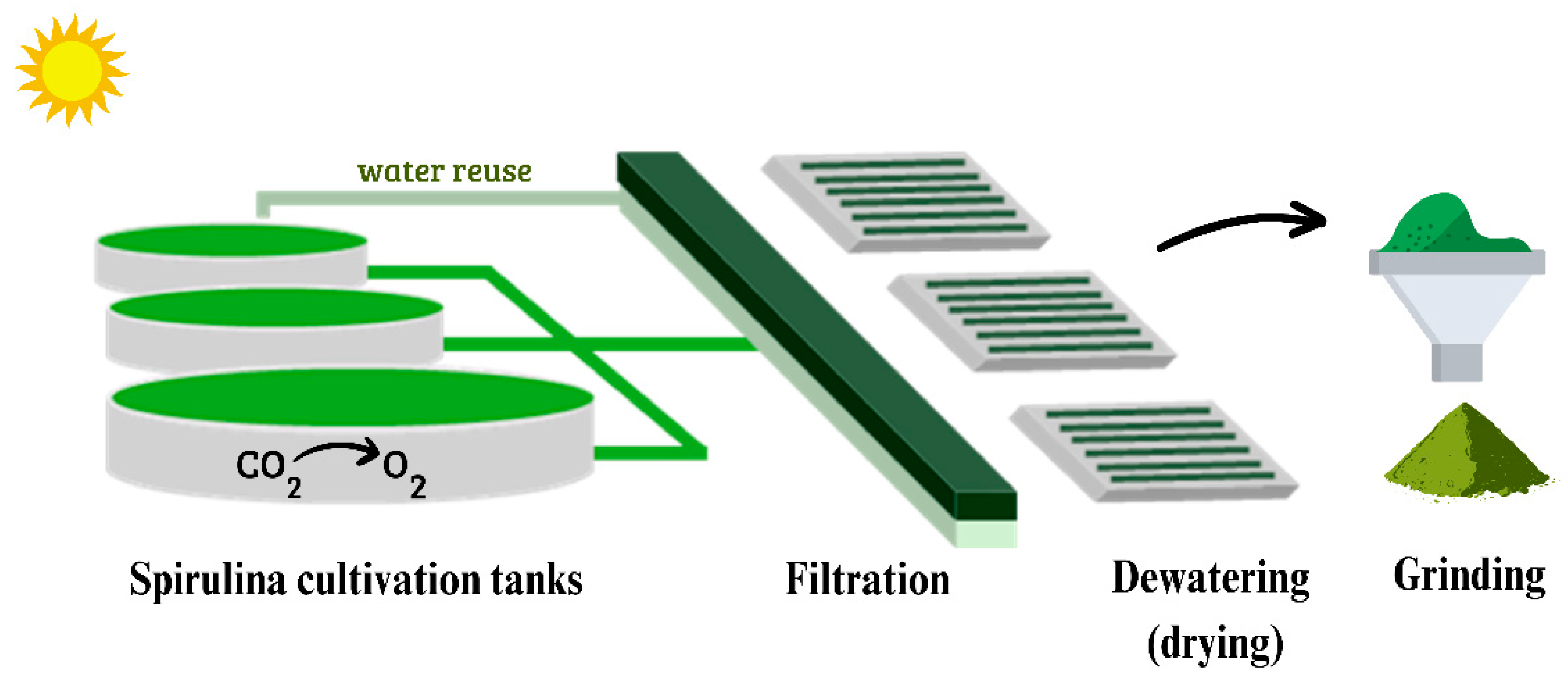 Biotech 14 00041 g002