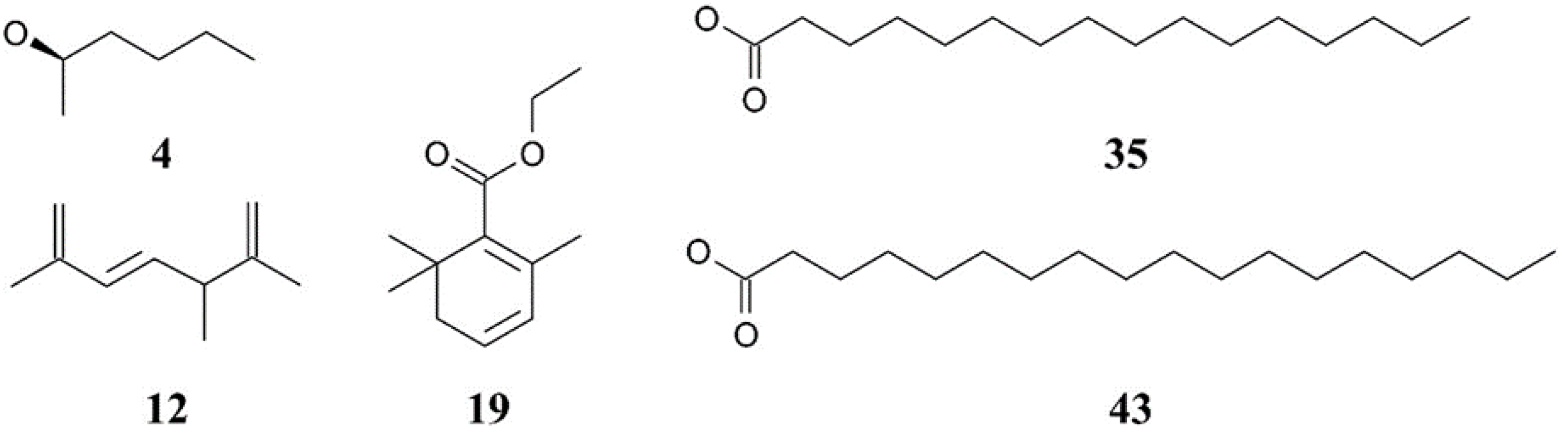 Biotech 14 00046 g002