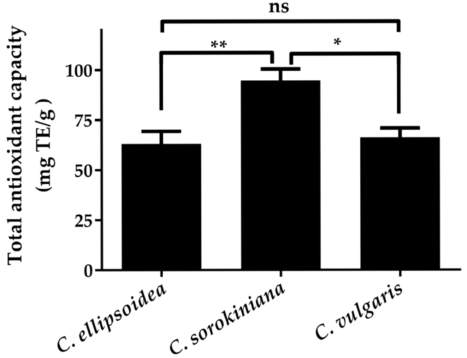 Biotech 14 00046 g004
