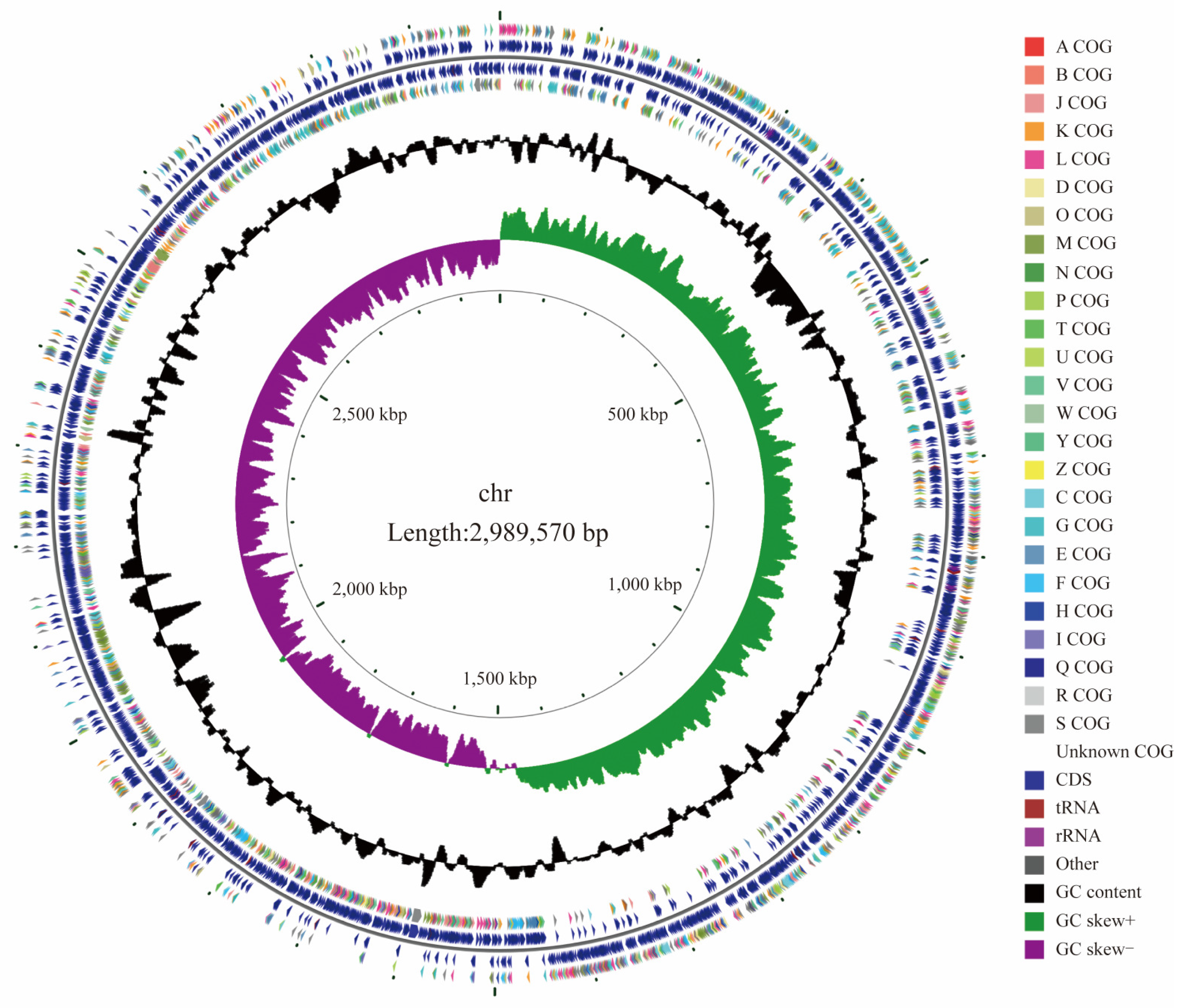 Biotech 14 00047 g002