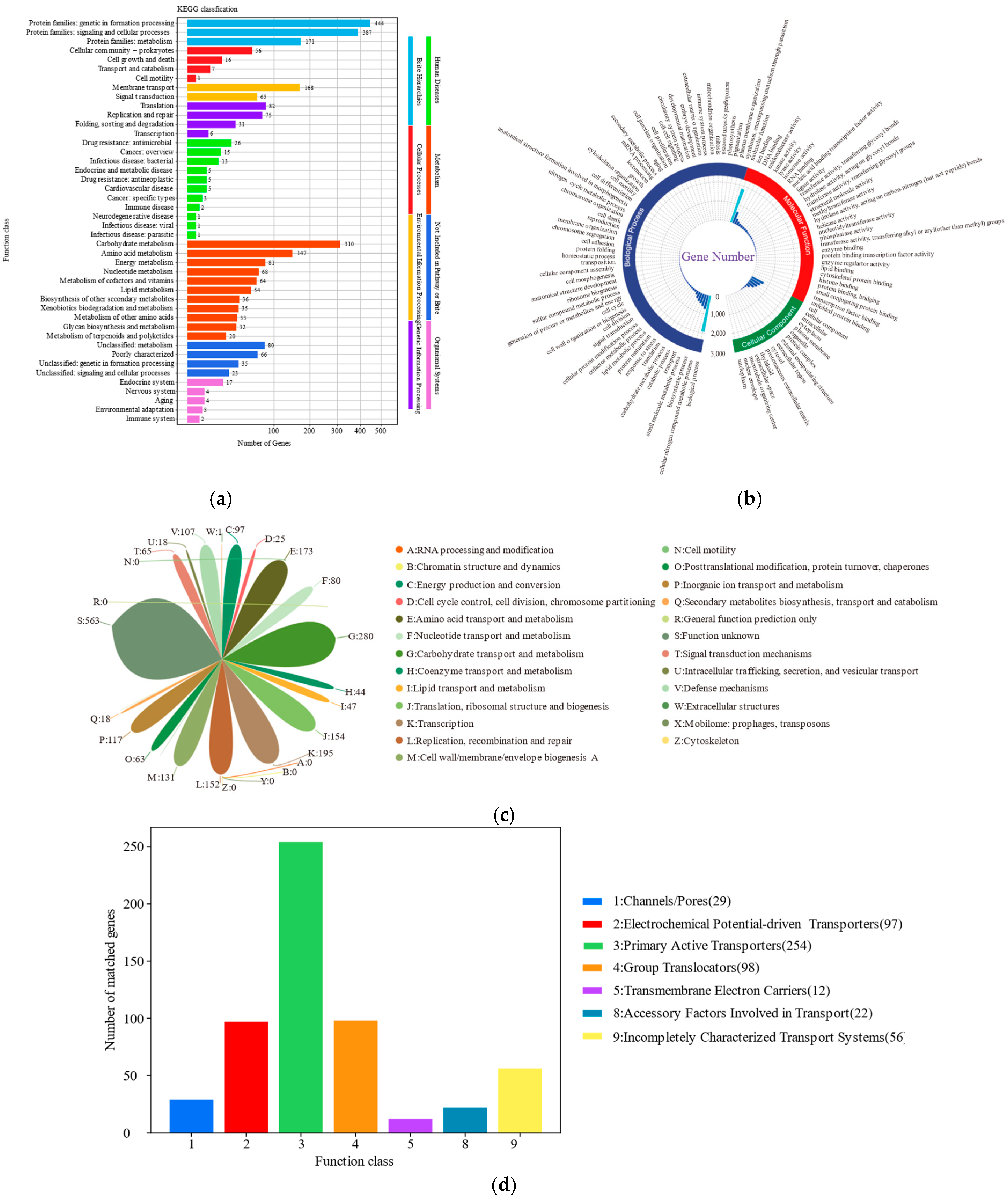 Biotech 14 00047 g006