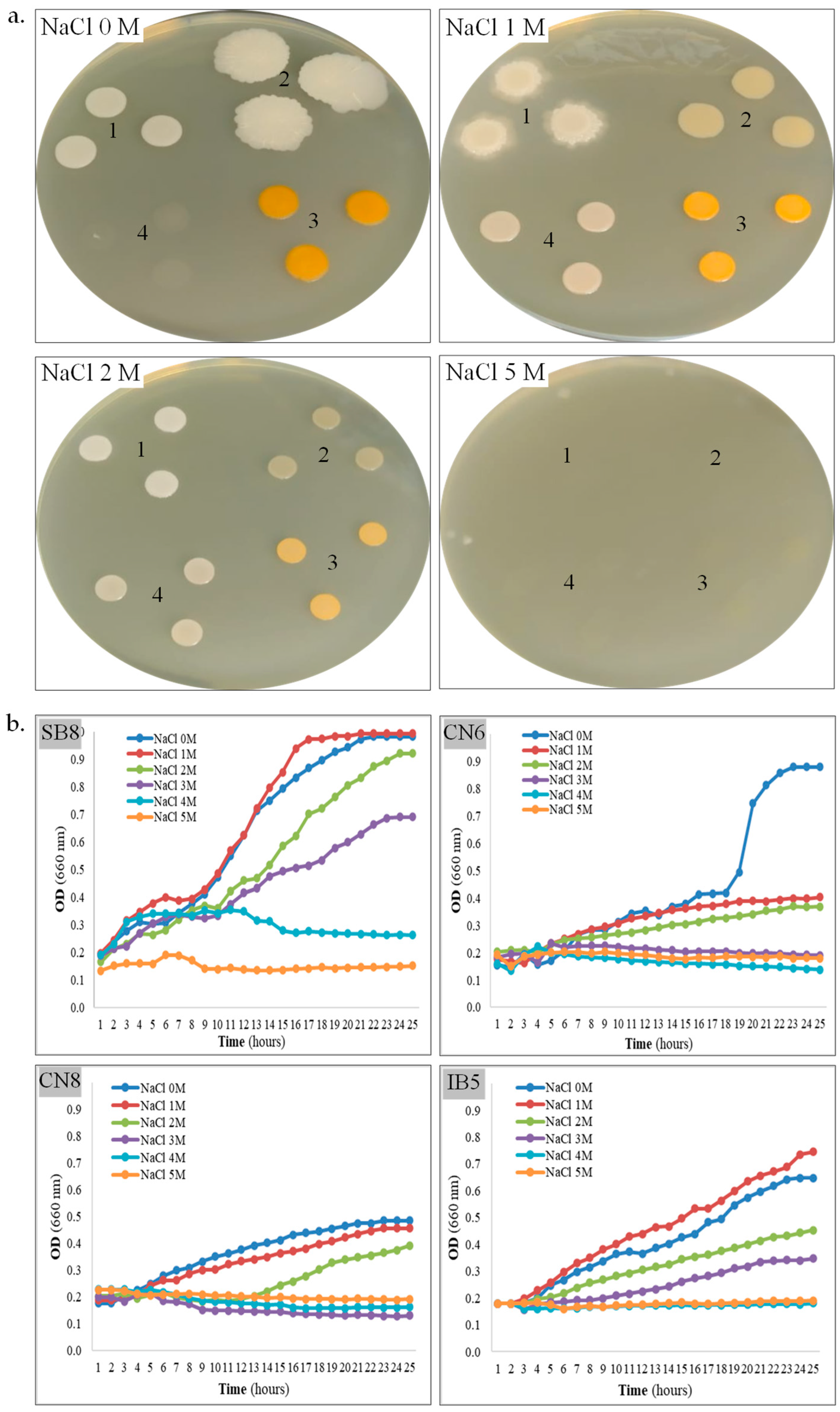 Biotech 14 00049 g002