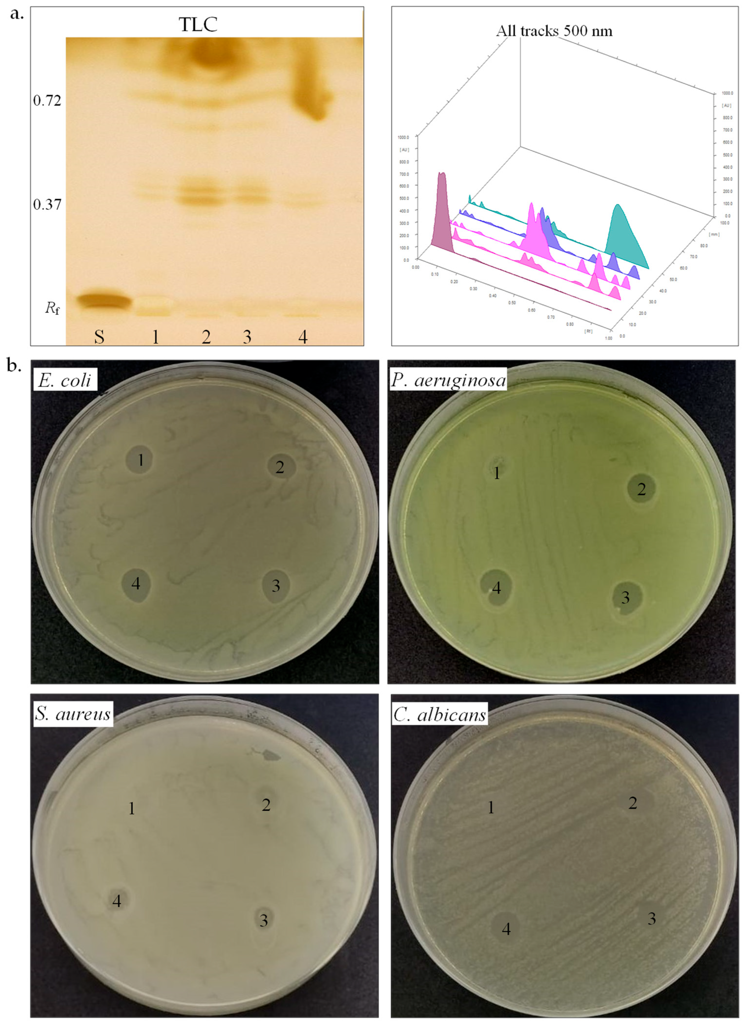 Biotech 14 00049 g004