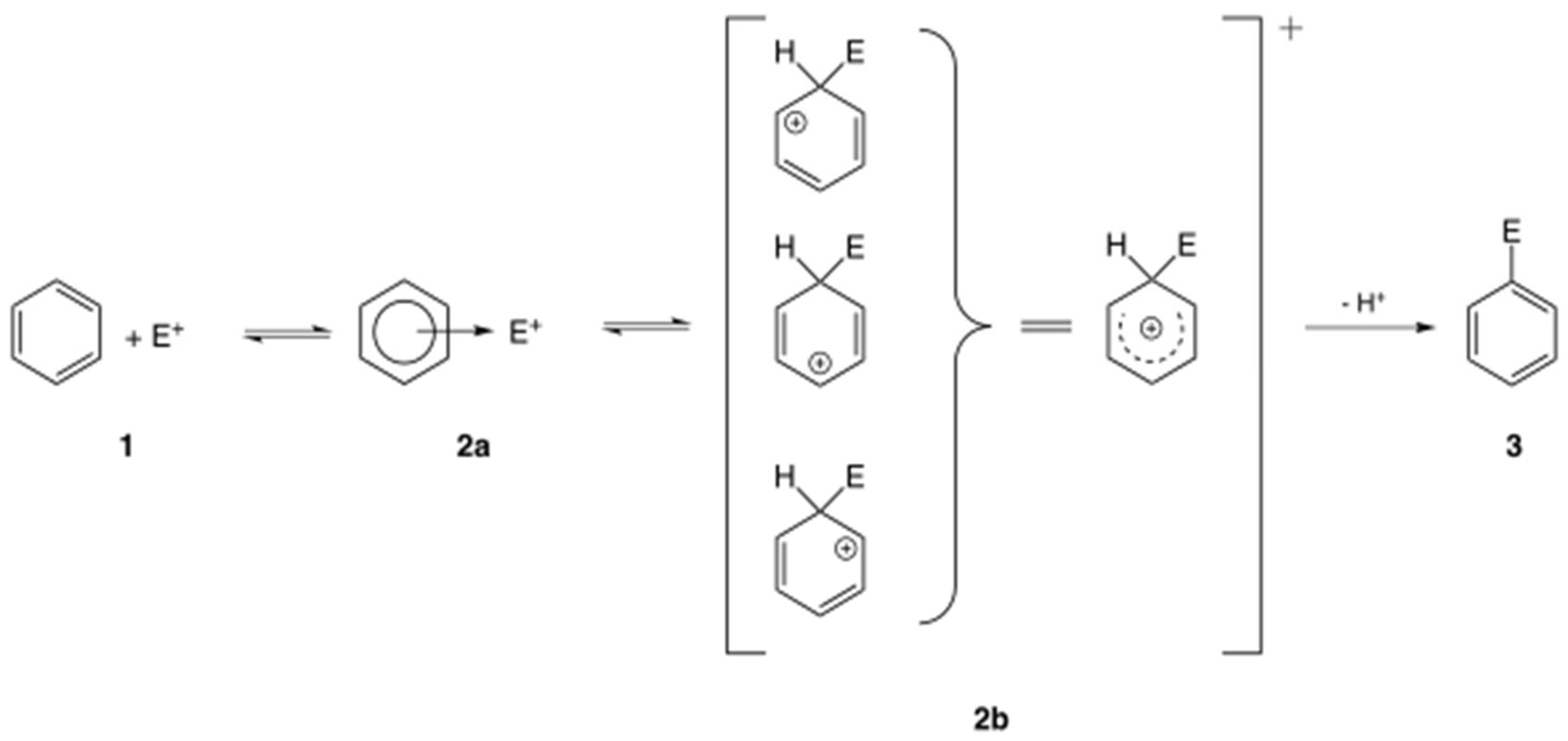 Biotech 14 00052 g001