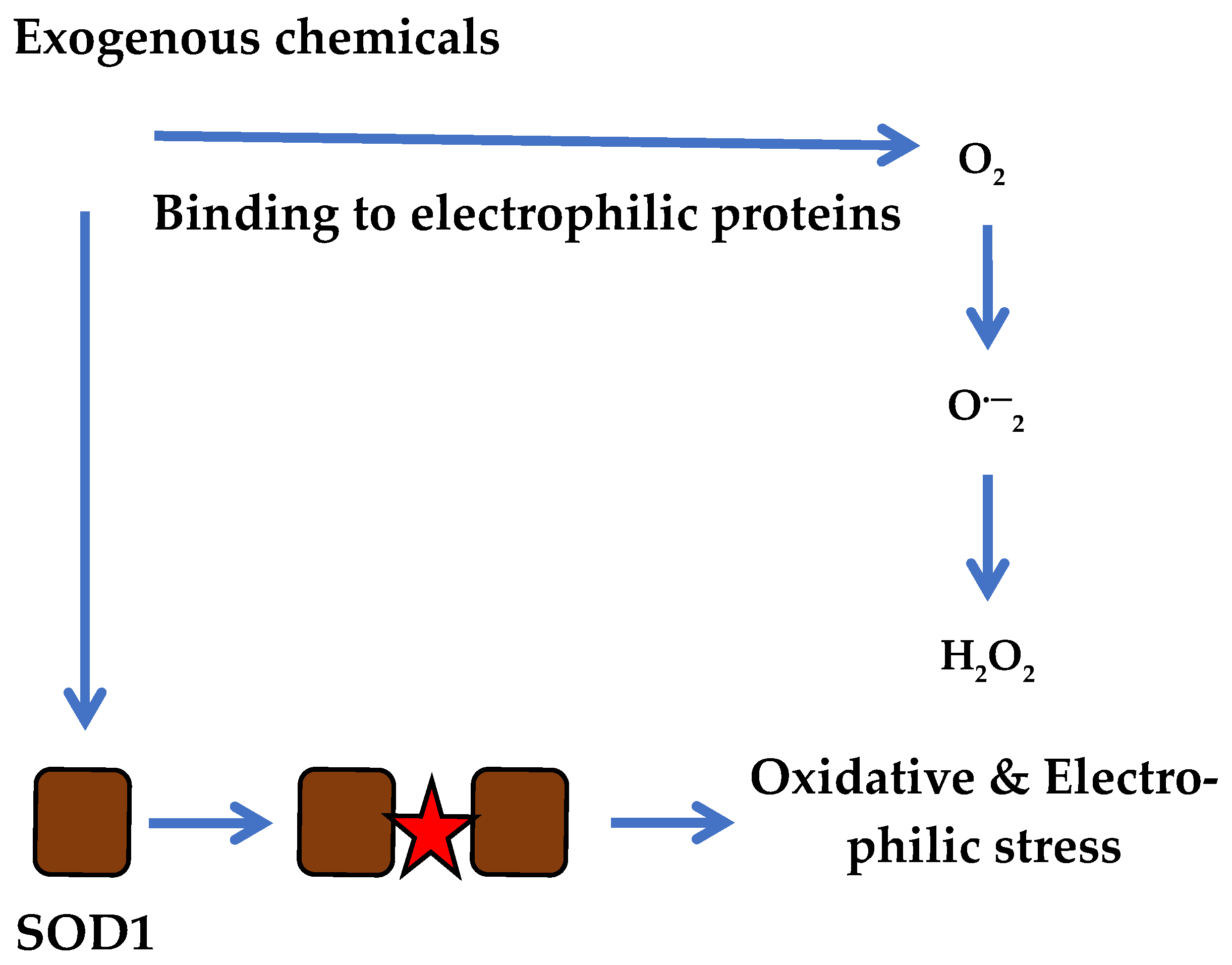 Biotech 14 00052 g003