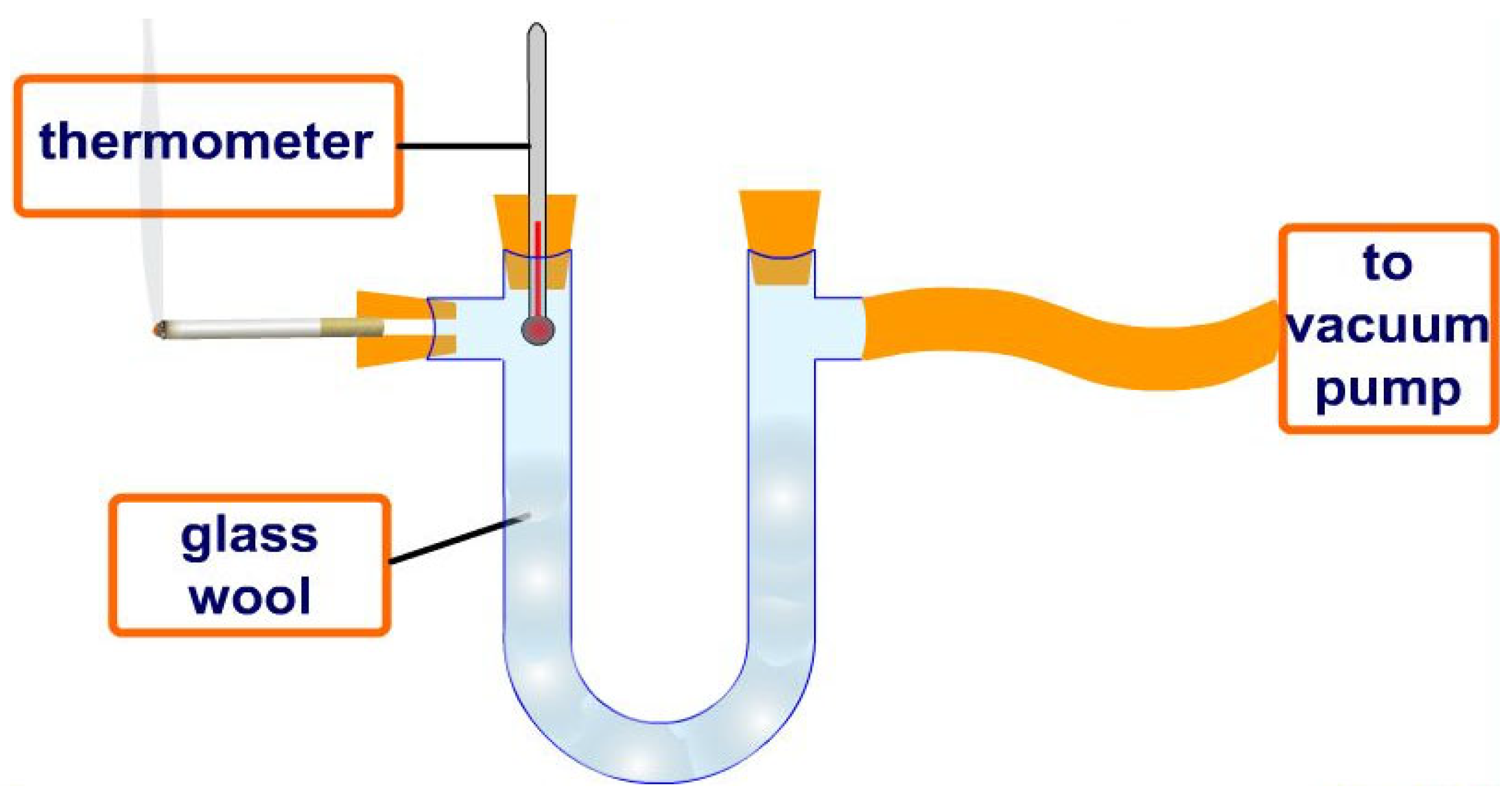 Biotech 14 00052 g004