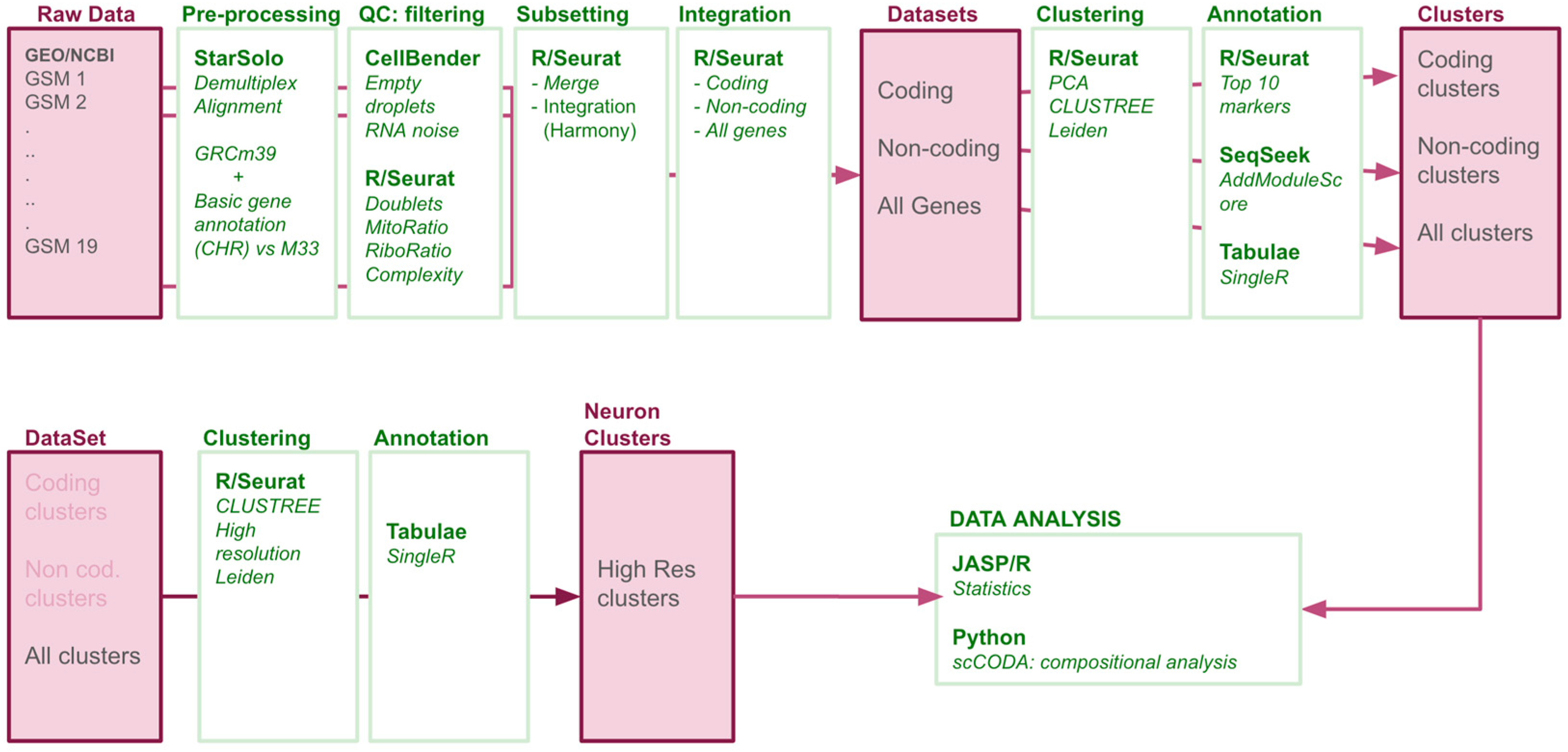 Biotech 14 00070 g001