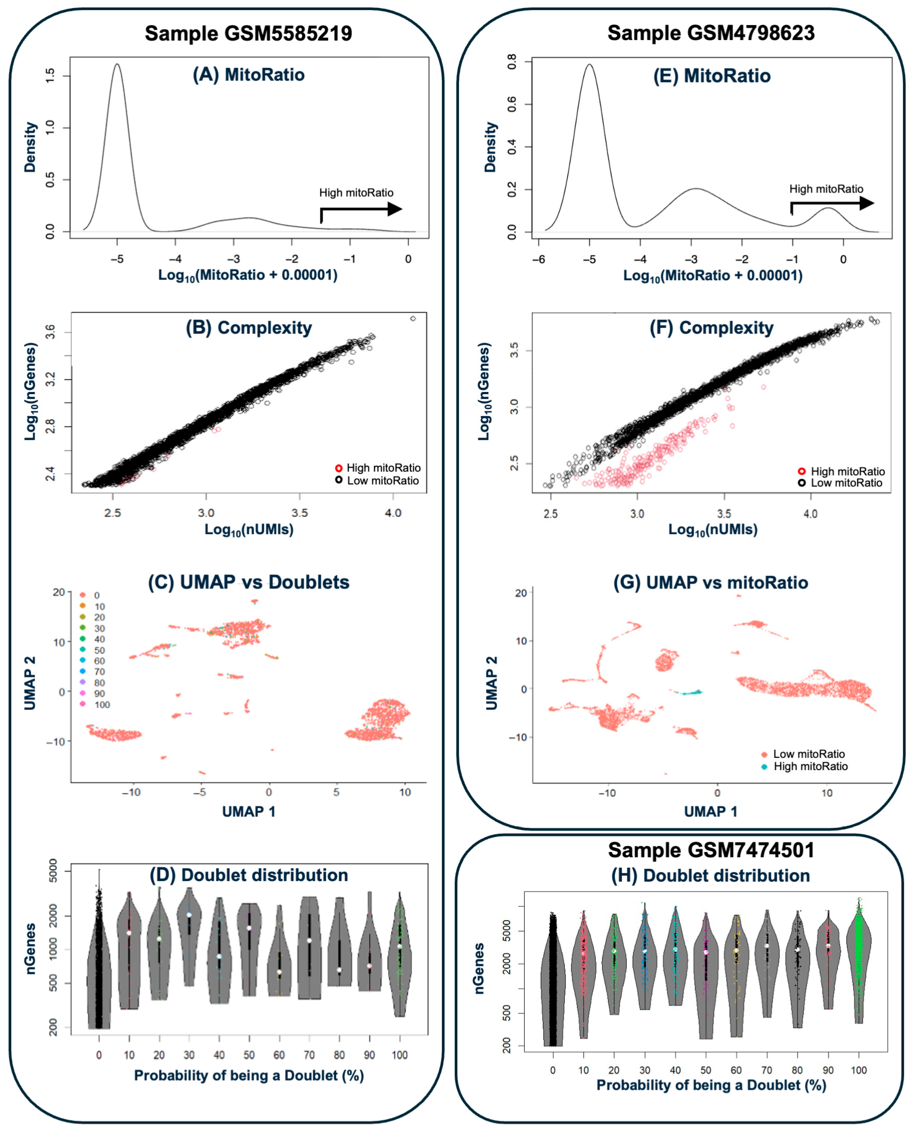 Biotech 14 00070 g002