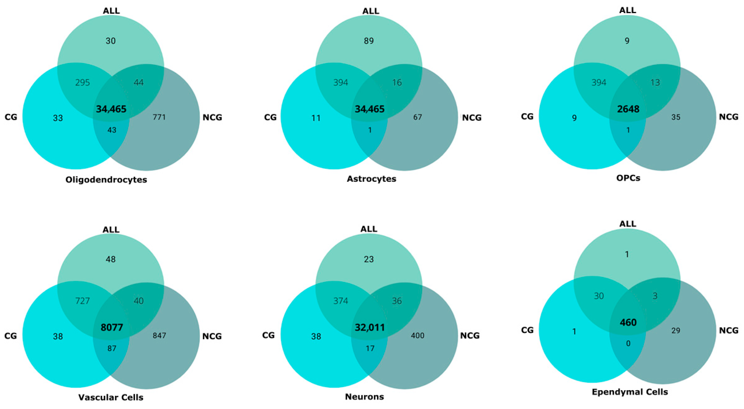 Biotech 14 00070 g004