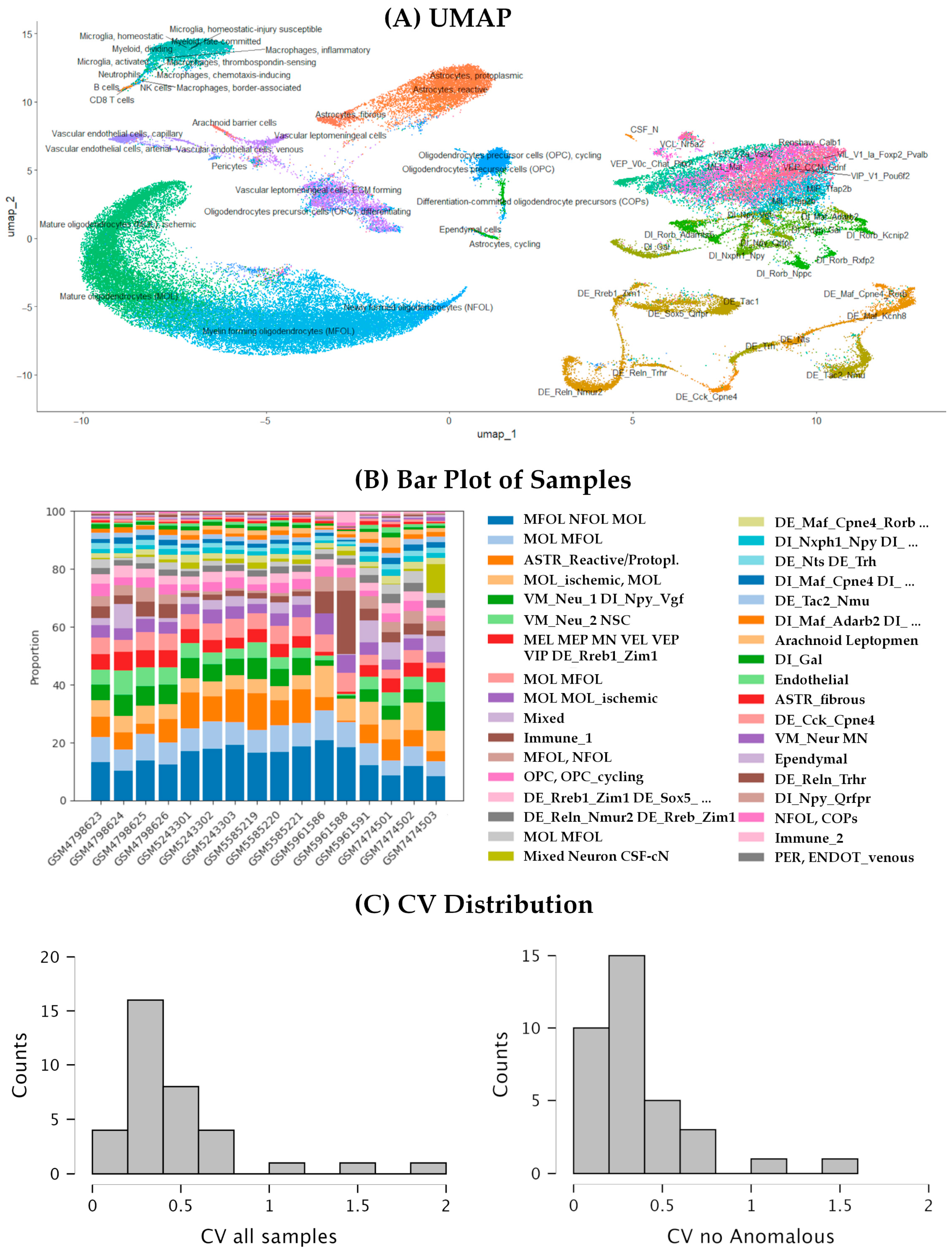Biotech 14 00070 g006