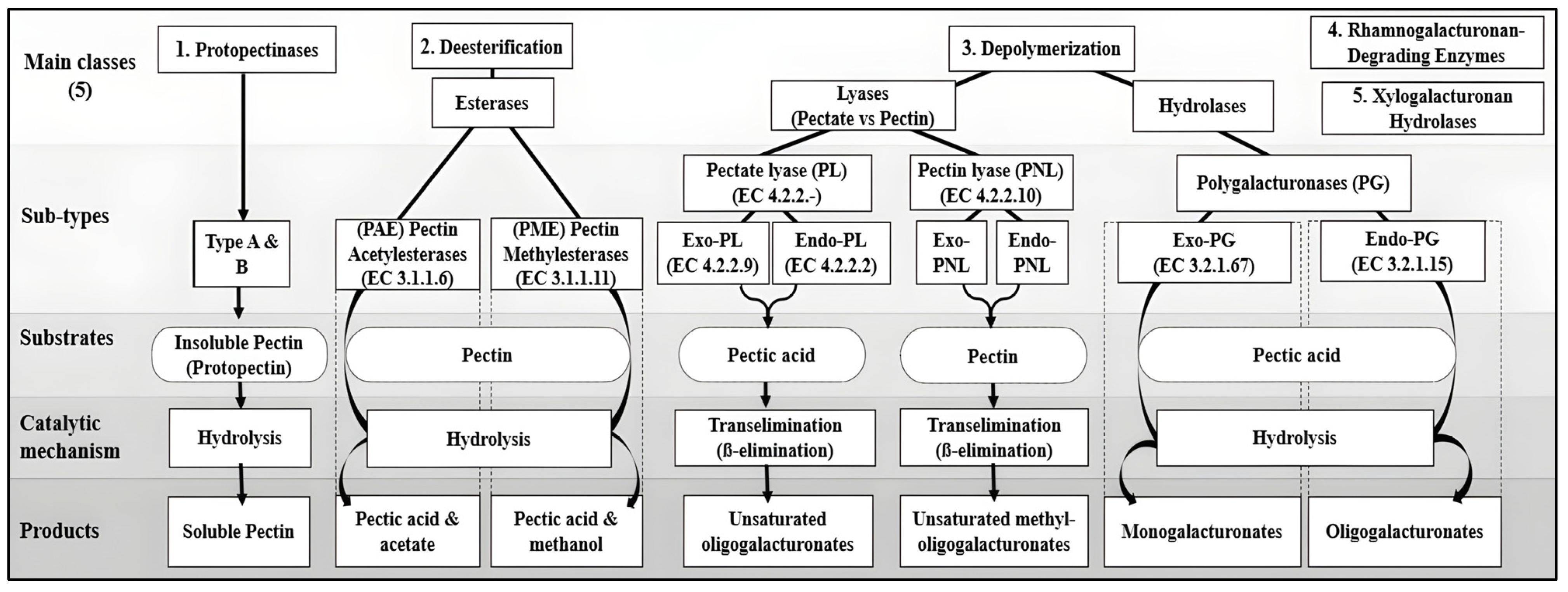 Biotech 14 00074 g002 Biotech 14 00074 g002