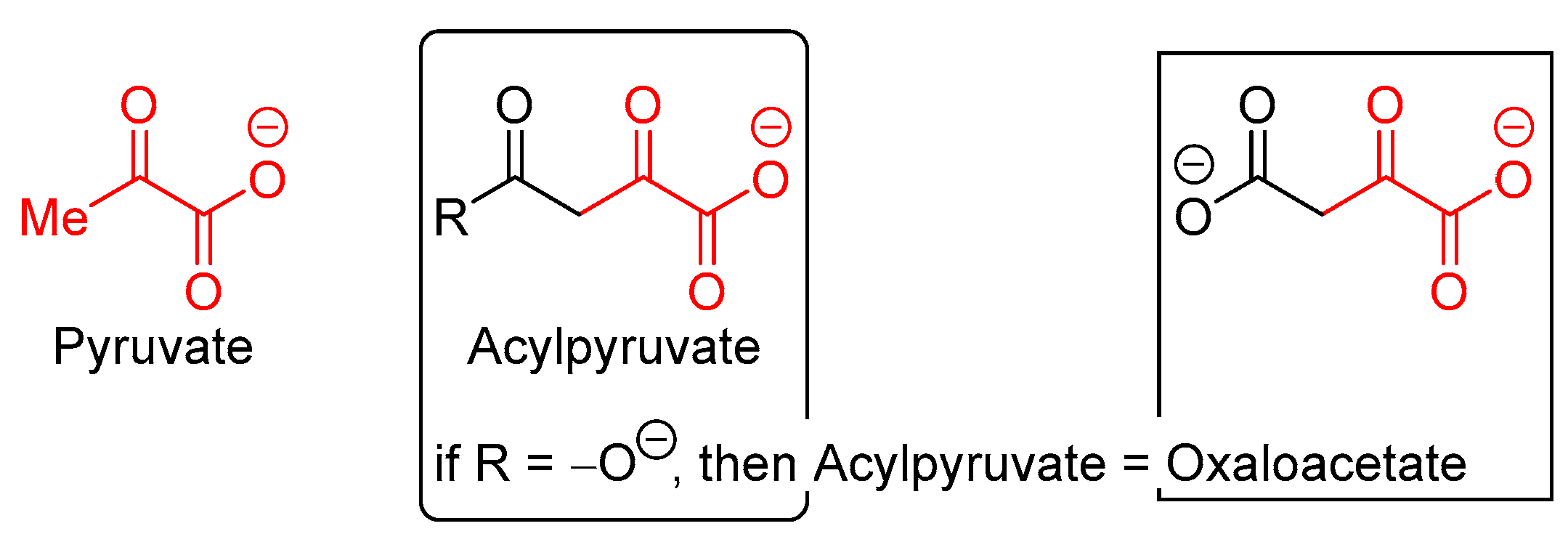 Biotech 14 00090 g001
