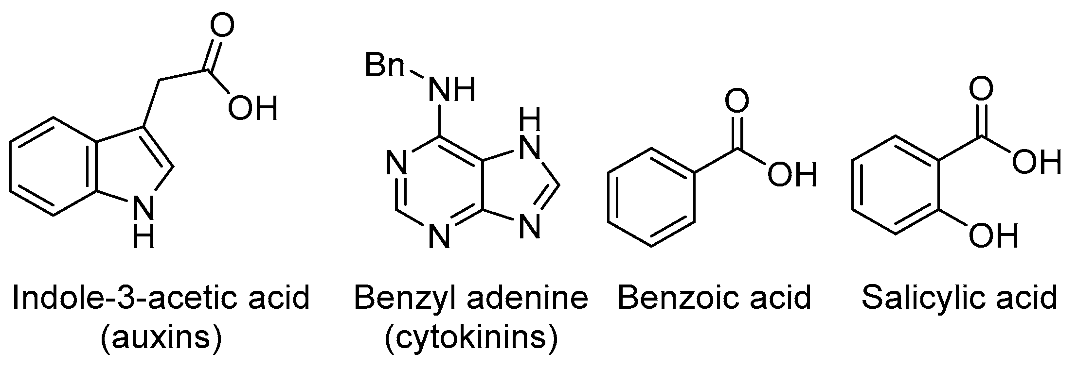 Biotech 14 00090 g002