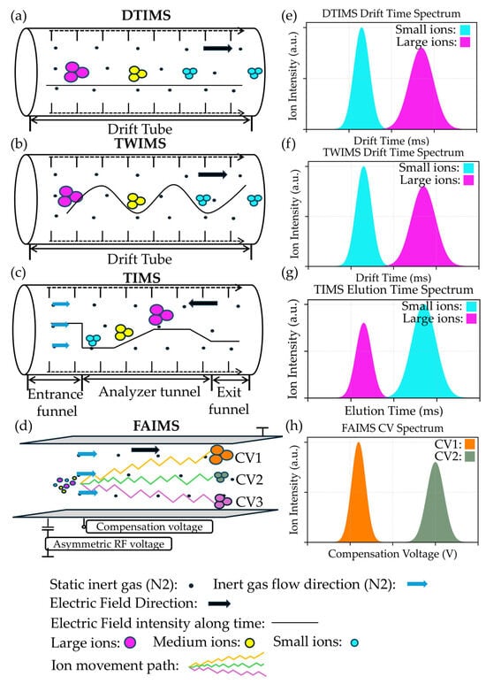 Different types of IM-MS. (a–d) Mechanisms of IM-MS; (a) DTIMS, where the drift tube is filled with static gas, primarily nitrogen. Ions collide with gas molecules and are separated under the influence of an electric field; (b) TWIMS, where ions are subjected to a traveling-wave electric field in a gas-filled drift tube, leading to ion separation based on their size, shape, and charge under the influence of the electric field; (c) TIMS, where ions are separated under the influence of co-flowing gas and opposing electric fields. (d) FAIMS, where ions are separated under the influence of a co-flowing gas and a variable intensity asymmetric waveform electric field. After applying compensation voltage, ions with specific mobility (green dots) are transmitted, while ions with different mobilities (orange and pink dots) are excluded. The black dots in the figure (a–d) represent buffer gas, typically inert gases (nitrogen). Ions collide with them during drift. (e–h) Ion drift times in different types of IM-MS. Figure 1e–h are conceptual illustrations of ion drift behavior under typical operating conditions for each IM technology. For clarity, representative constant parameters were assumed (DTIMS: uniform electric field; TWIMS: fixed wave velocity; TIMS: constant ramp rate; FAIMS: fixed DV/CV waveform).
		  PanelTechniqueAxis typeKey Feature(e)DTIMSDrift time (ms)Small ions migrate faster(f)TWIMSDrift time (ms)Small ions migrate faster(g)TIMSElution time (ms)Smaller ions exhibit longer elution times(h)FAIMSCompensation Voltage (V)Different ions have different CVs