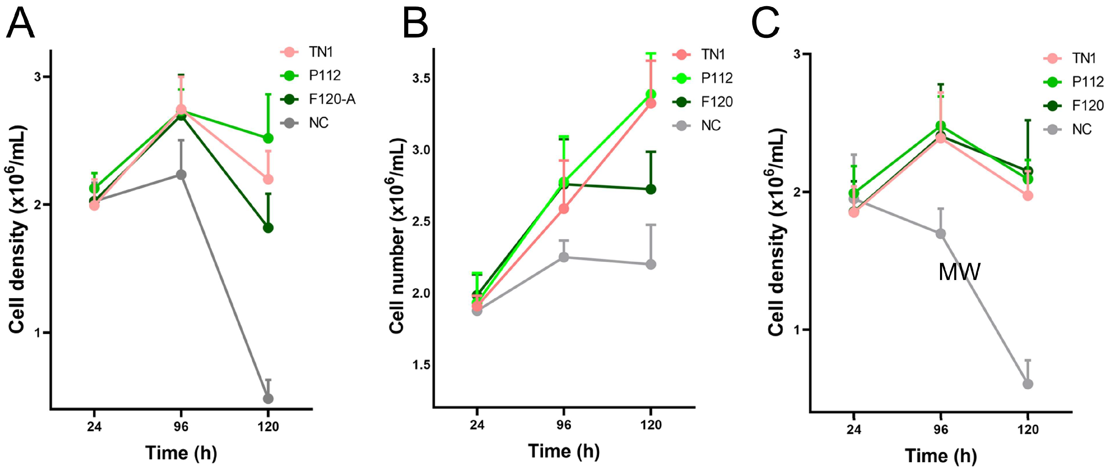 Biotech 15 00014 g001