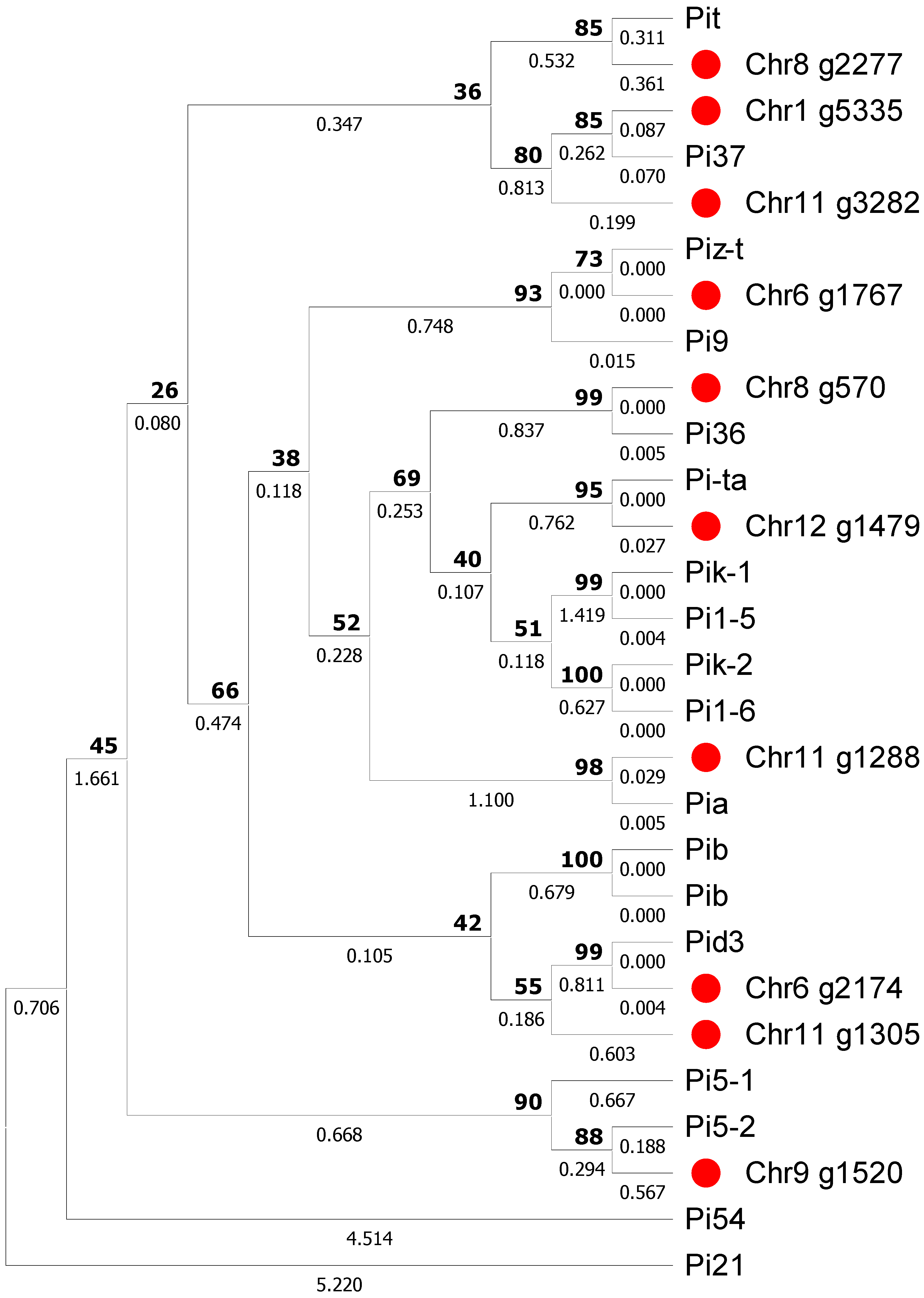Biotech 15 00073 g001