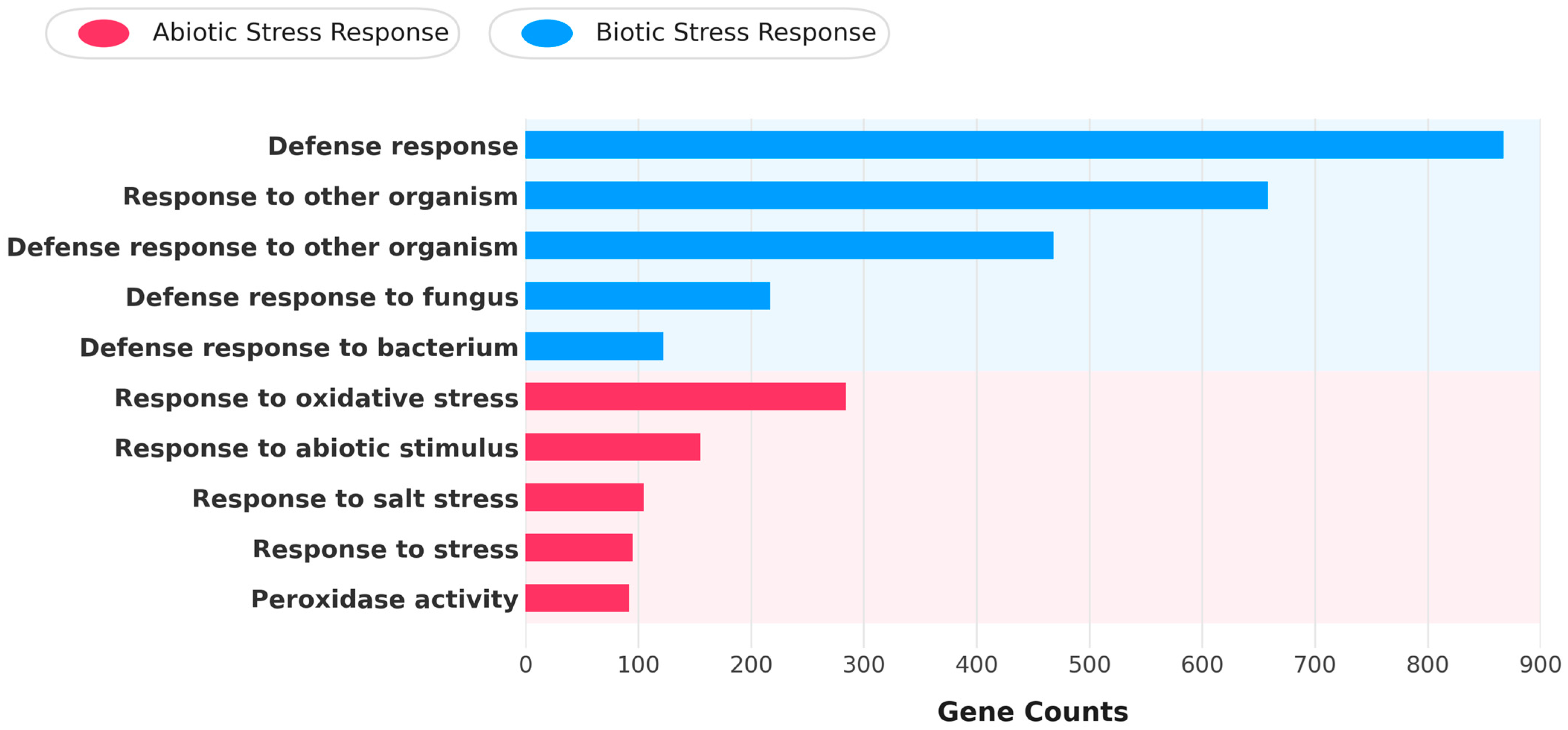 Biotech 15 00073 g002