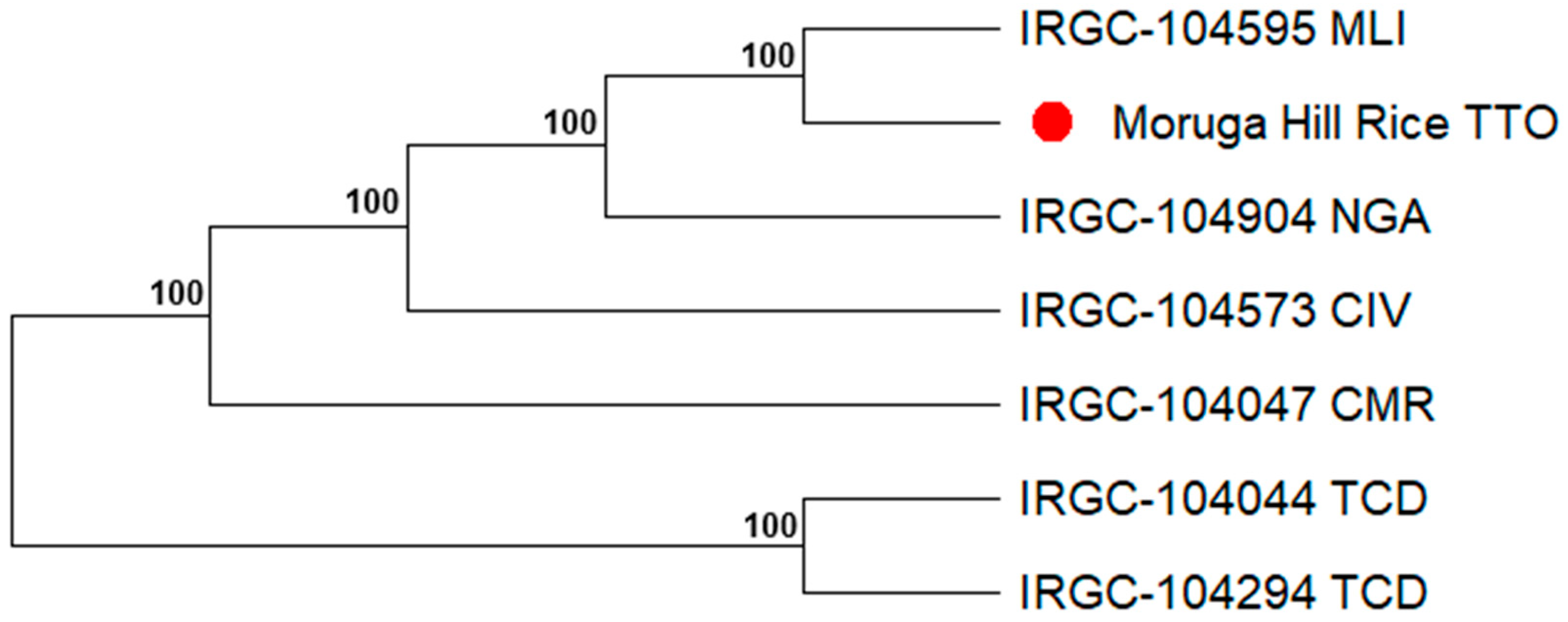 Biotech 15 00073 g003
