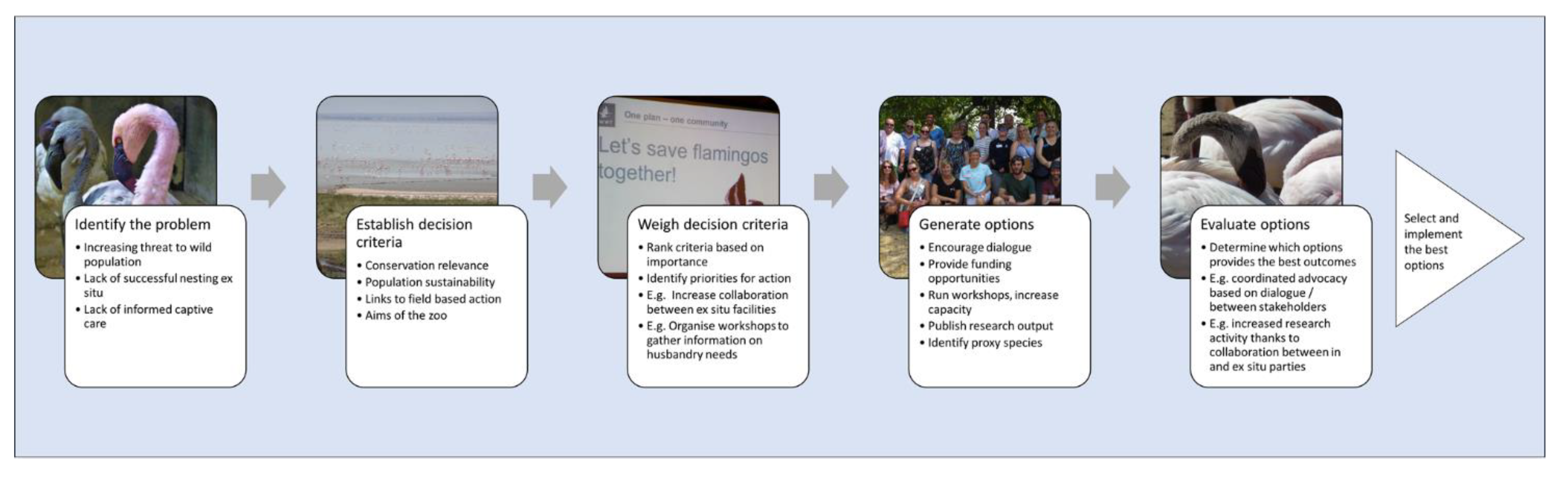 Birds 02 00005 g004 Birds 02 00005 g004
