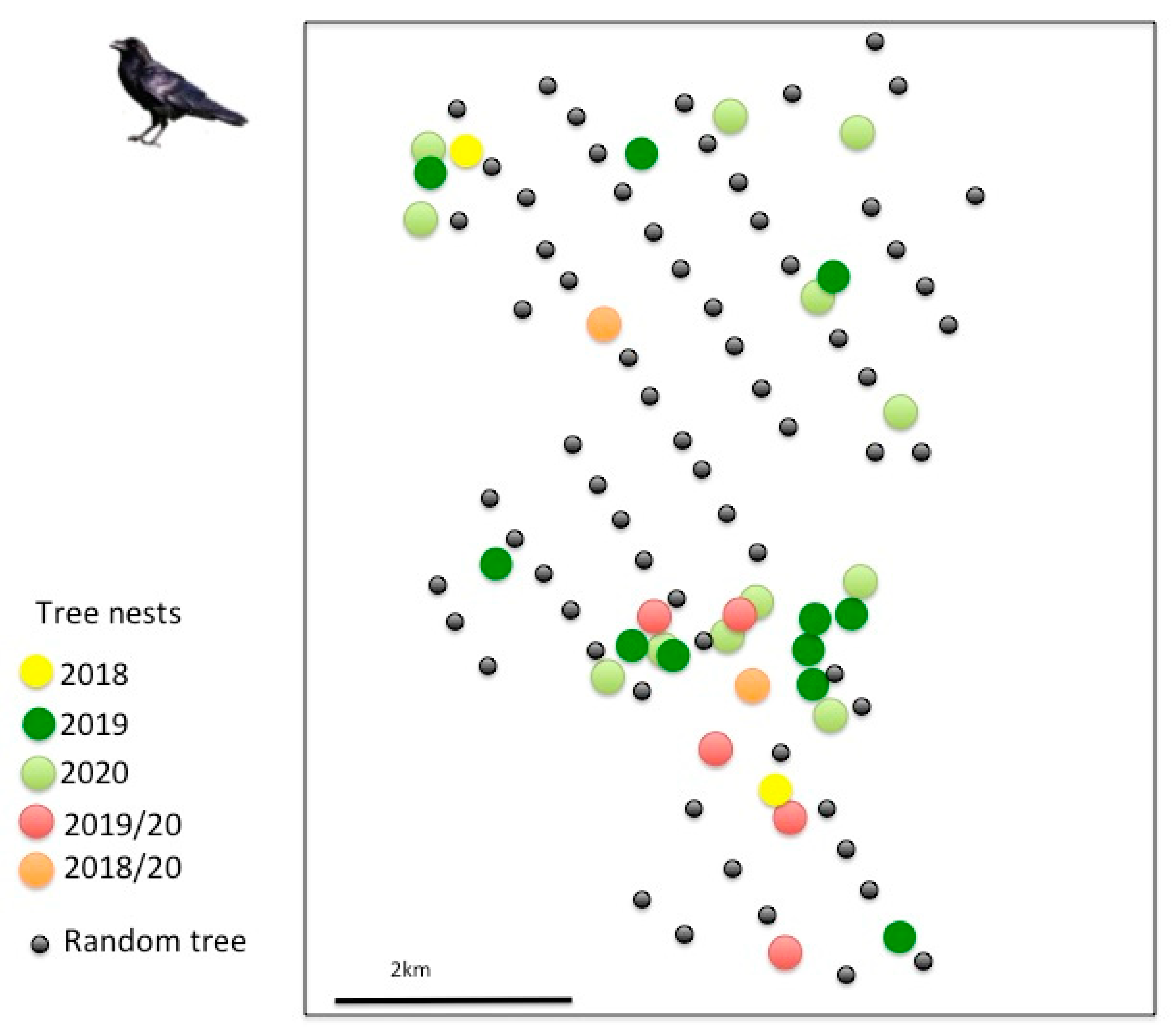 Birds 02 00022 g002