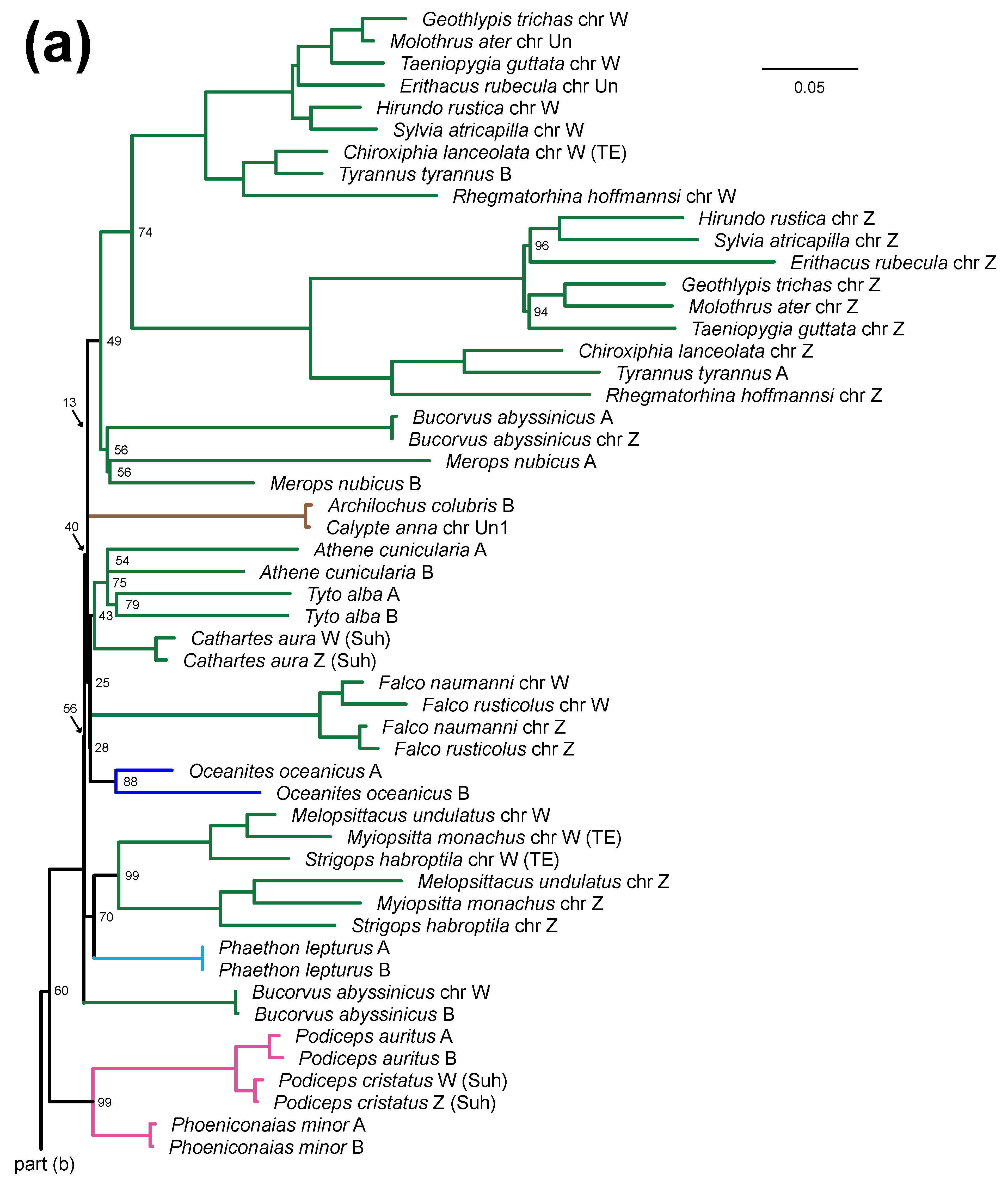 Birds 03 00004 g003a
