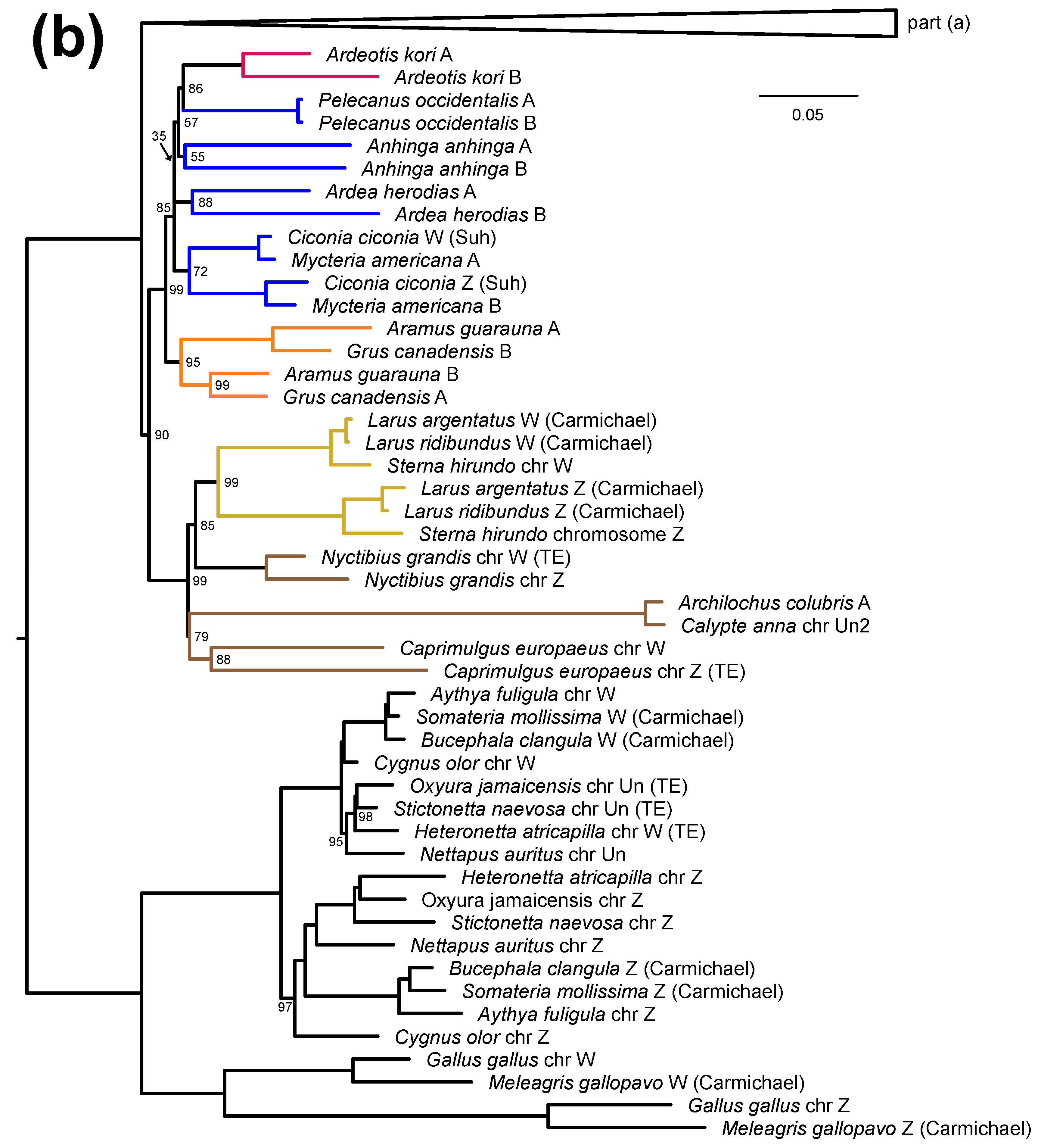 Birds 03 00004 g003b