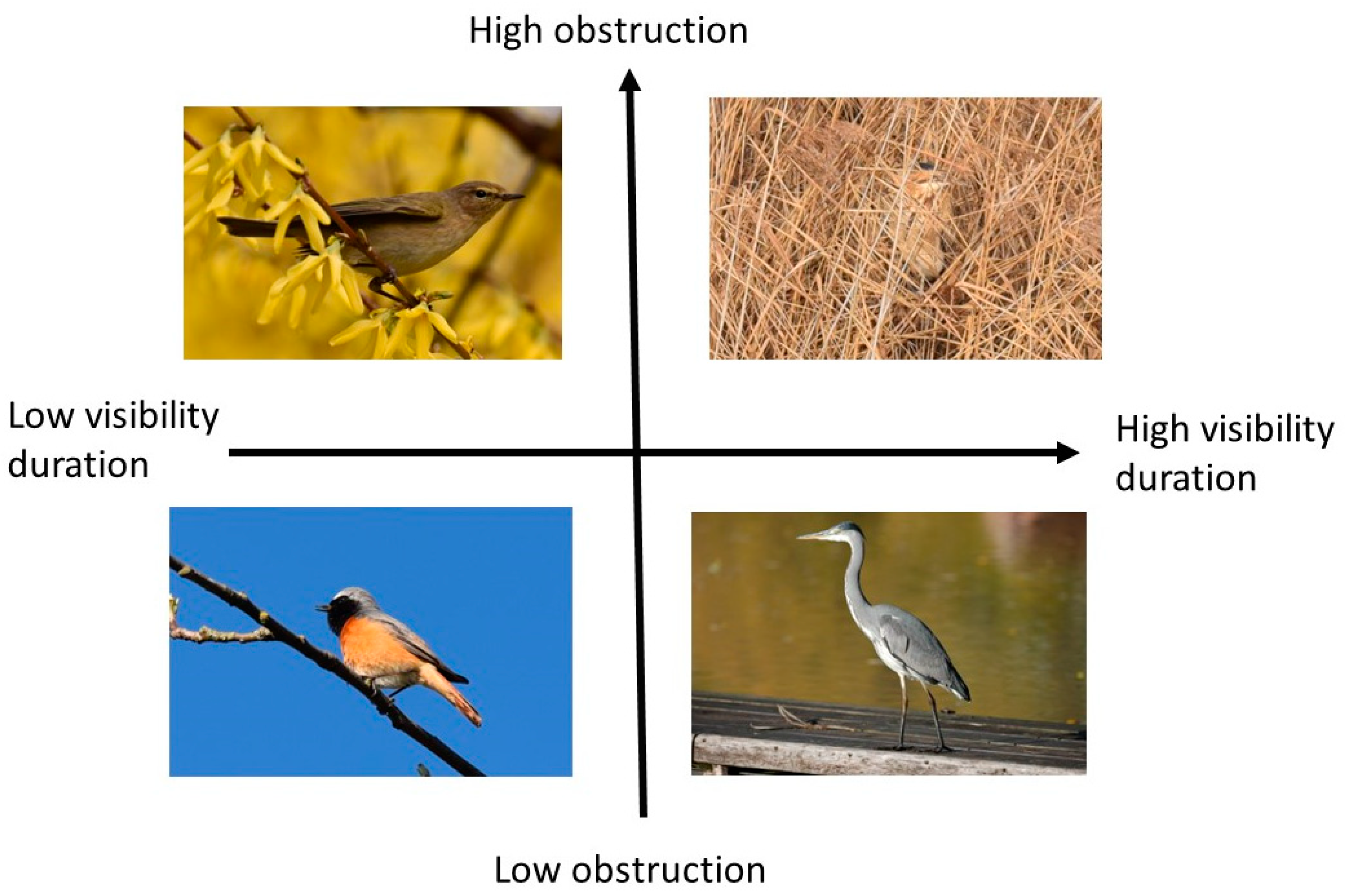 Birds 05 00002 g002