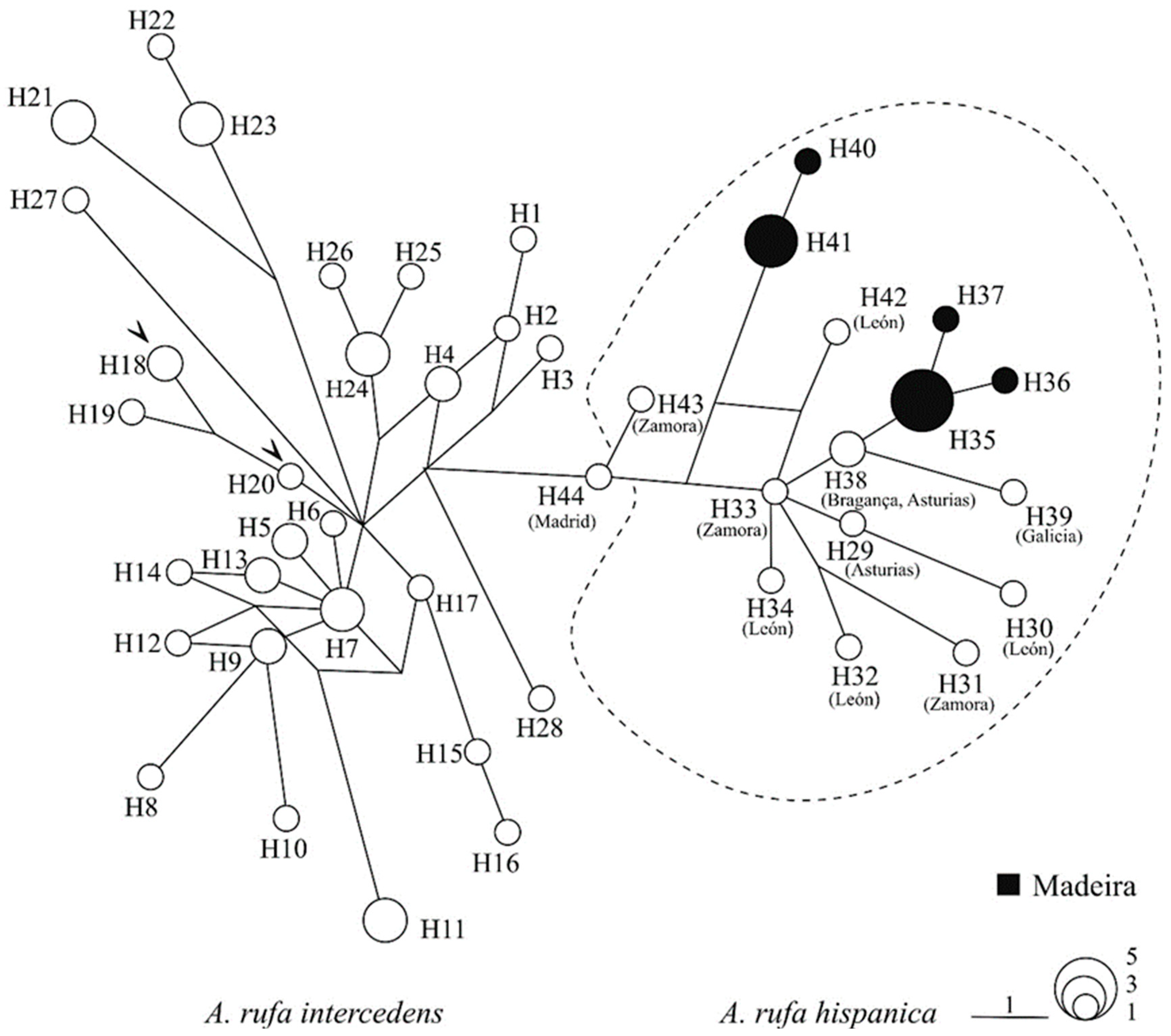 Birds 06 00059 g003 Birds 06 00059 g003
