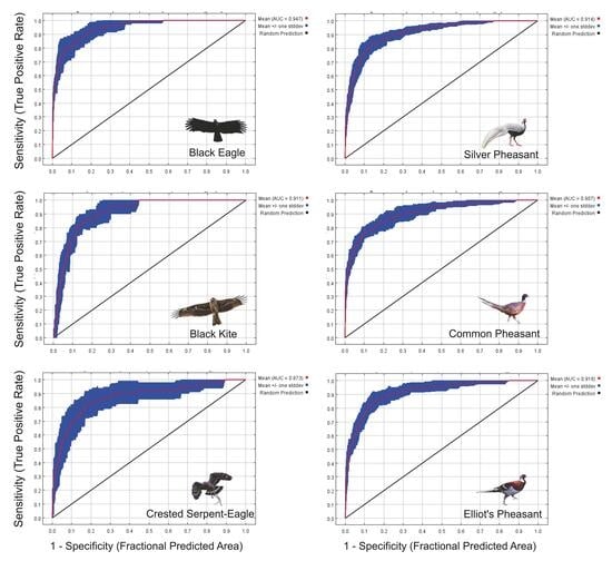 Study area, occurrence records and survey sites of the six focal species in Mingxi County, Fujian Province, southeastern China. (a) Regional location of Mingxi County in Fujian Province, southeastern China; the study area is highlighted in yellow. (b) Occurrence records of the Black Eagle, Black Kite, Crested Serpent Eagle, Silver Pheasant, Common Pheasant, and Elliot’s Pheasant overlaid on elevation. Different black symbols represent the six species, and each point represents a spatially unique occurrence record retained for MaxEnt modeling after spatial thinning. (c) Locations of the 38 field-survey sites (black triangles) overlaid on the 2020 land-use/land-cover map. Land-use codes are: 10, cultivated land; 20, forest land; 30, grassland; 60, water bodies; and 80, artificial surfaces.