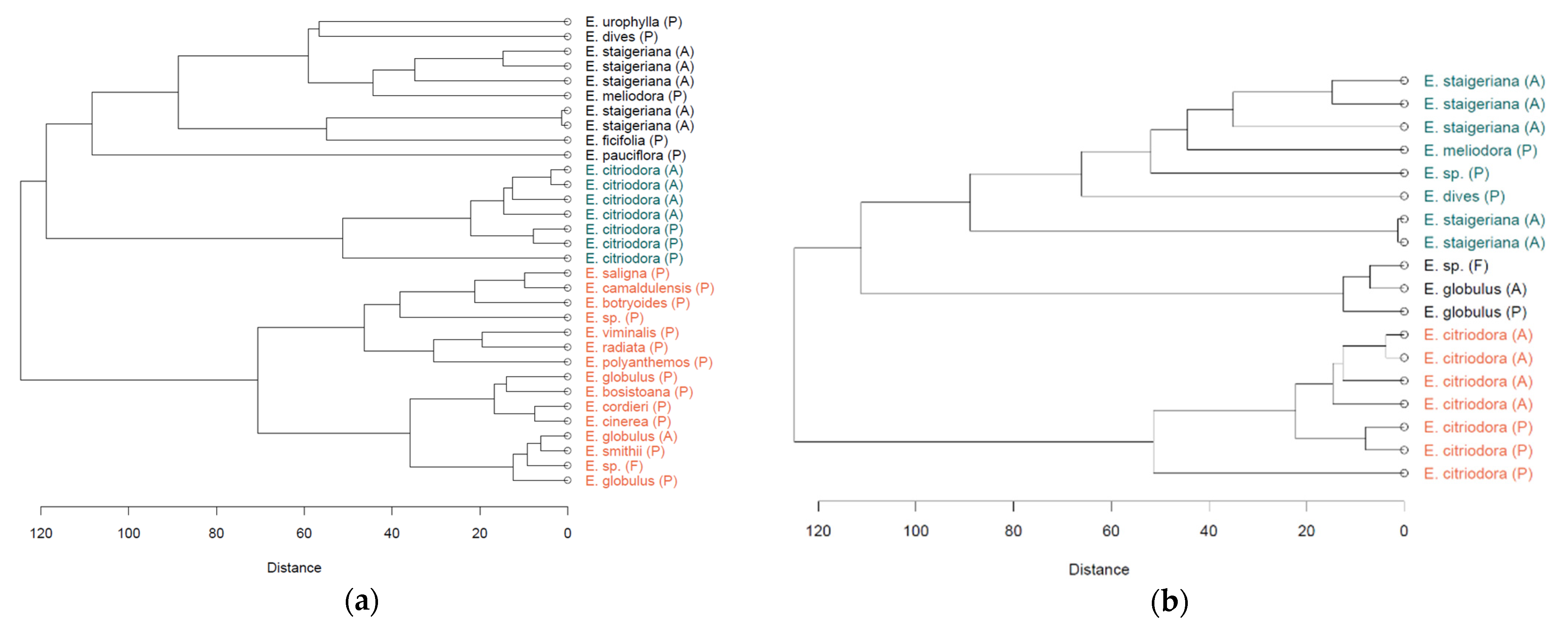 Blsf 02 00026 g001 Blsf 02 00026 g001