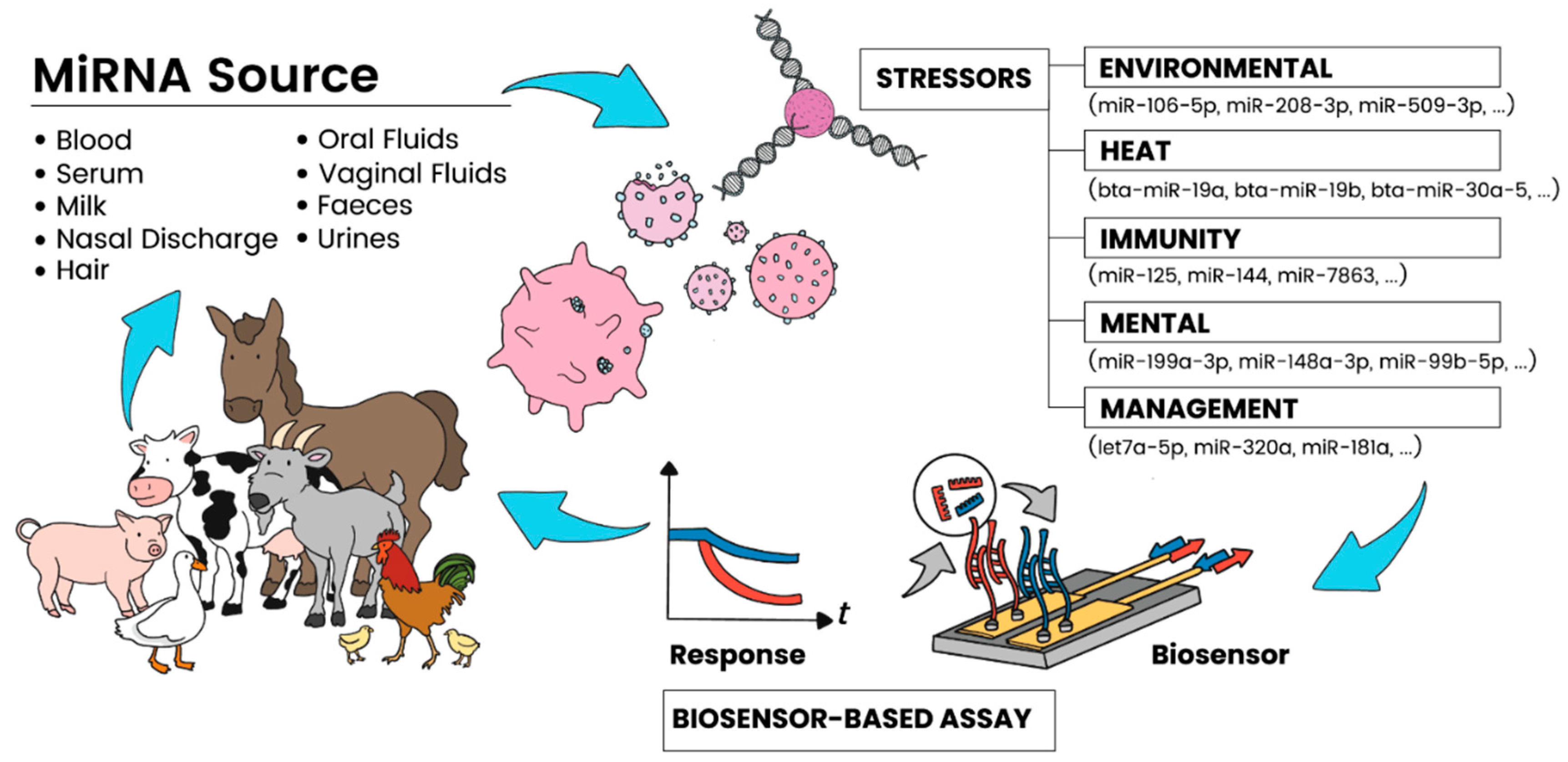 Blsf 10 00003 g001 Blsf 10 00003 g001