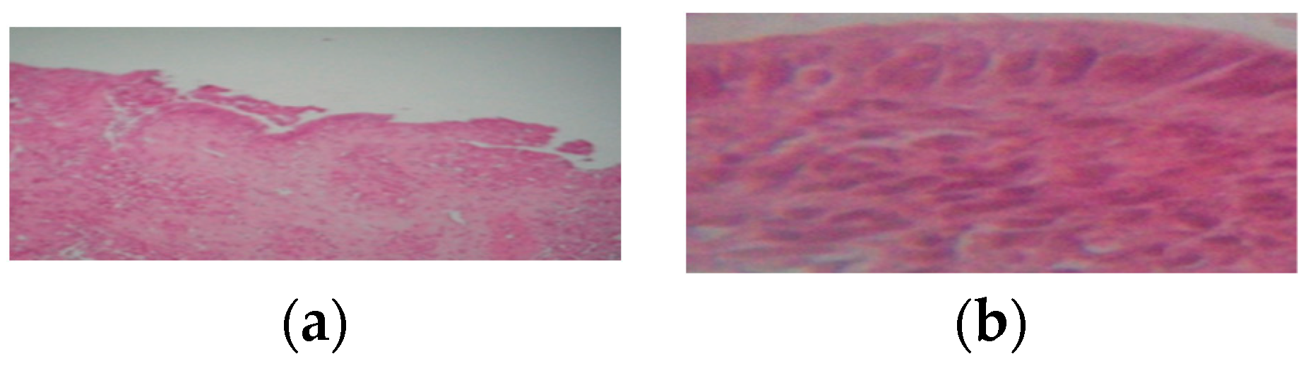 Blsf 22 00021 g001 Blsf 22 00021 g001