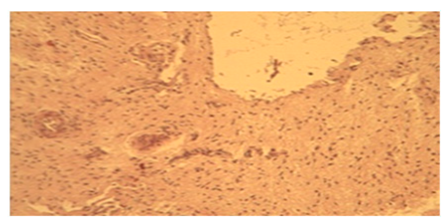 Blsf 22 00021 g002 Blsf 22 00021 g002