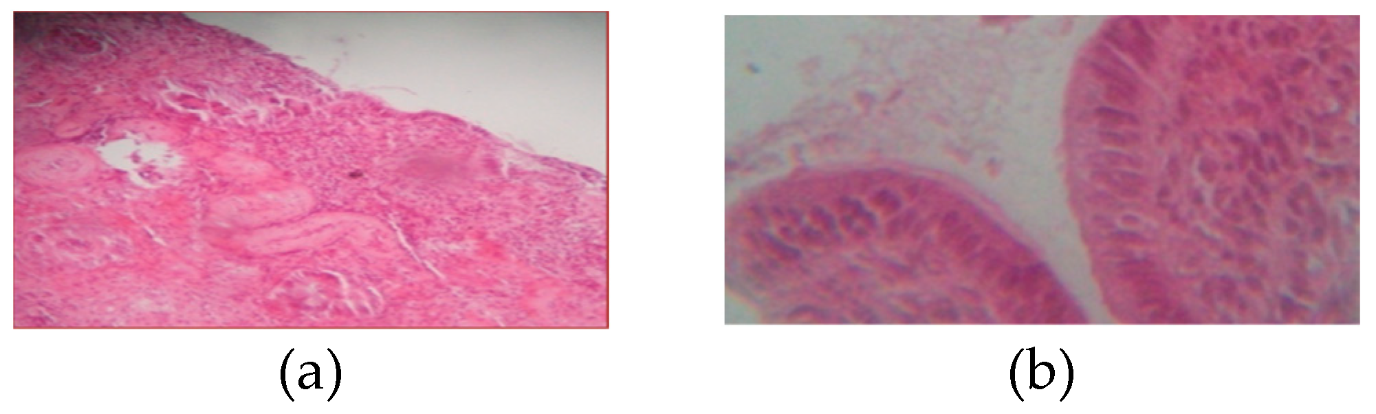 Blsf 22 00021 g006 Blsf 22 00021 g006