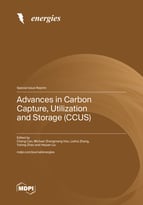 Special issue Advances in Carbon Capture, Utilization and Storage (CCUS) book cover image