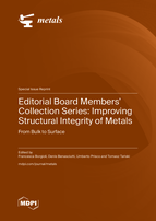Special Issue Editorial Board Members&rsquo; Collection Series: Improving Structural Integrity of Metals: From Bulk to Surface book cover image