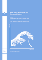 Special issue Water Policy, Productivity and Economic Efficiency book cover image
