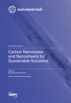 Special Issue Carbon Nanotubes and Nanosheets for Sustainable Solutions book cover image