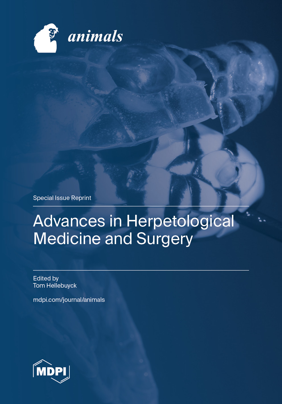 Curated visual reference: Gallery Detail: Advances In Herpetological Medicine And Surgery