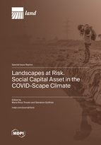 Special Issue Landscapes at Risk. Social Capital Asset in the COVID-Scape Climate book cover image