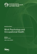 Special Issue Work Psychology and Occupational Health book cover image