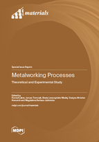 Special Issue Metalworking Processes: Theoretical and Experimental Study book cover image