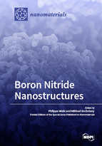 Special issue Boron Nitride Nanostructures book cover image