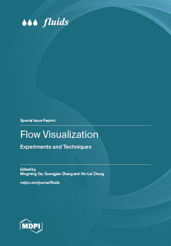 Flow Visualization